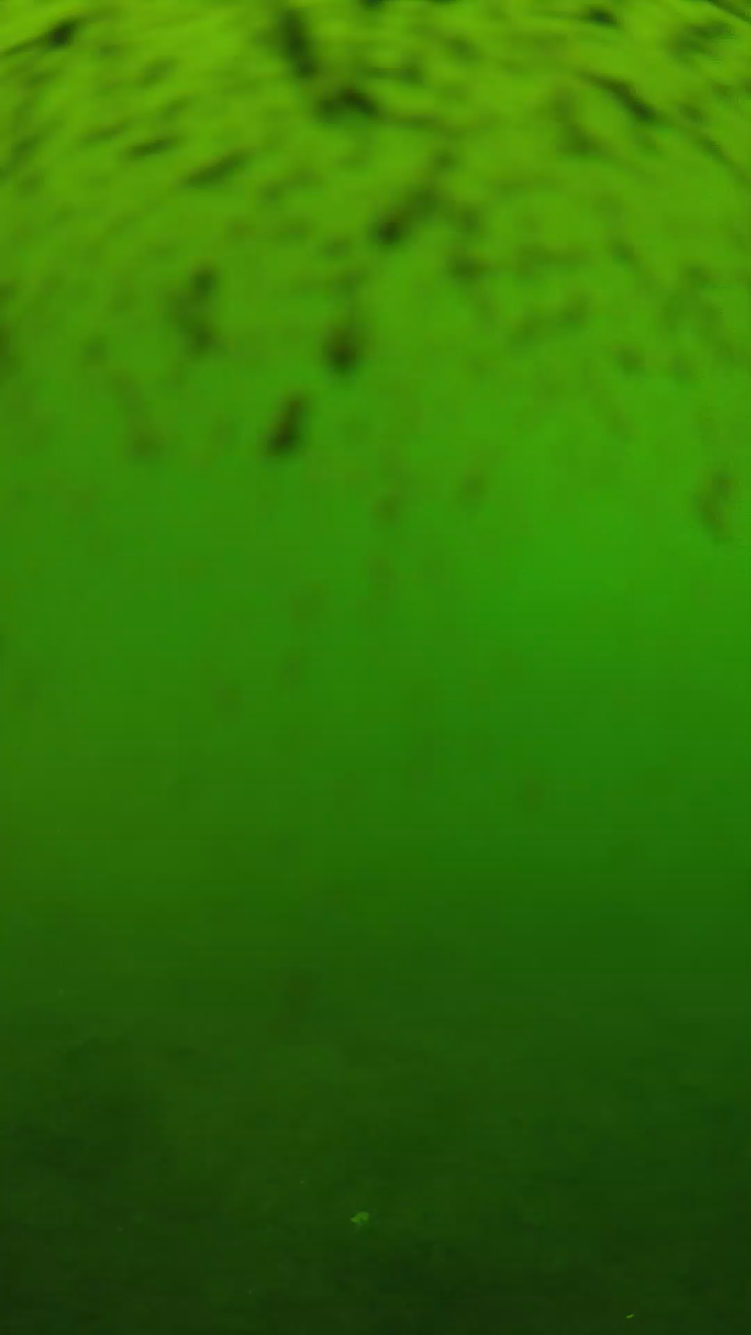 lander_ipcam_20240628123541.png