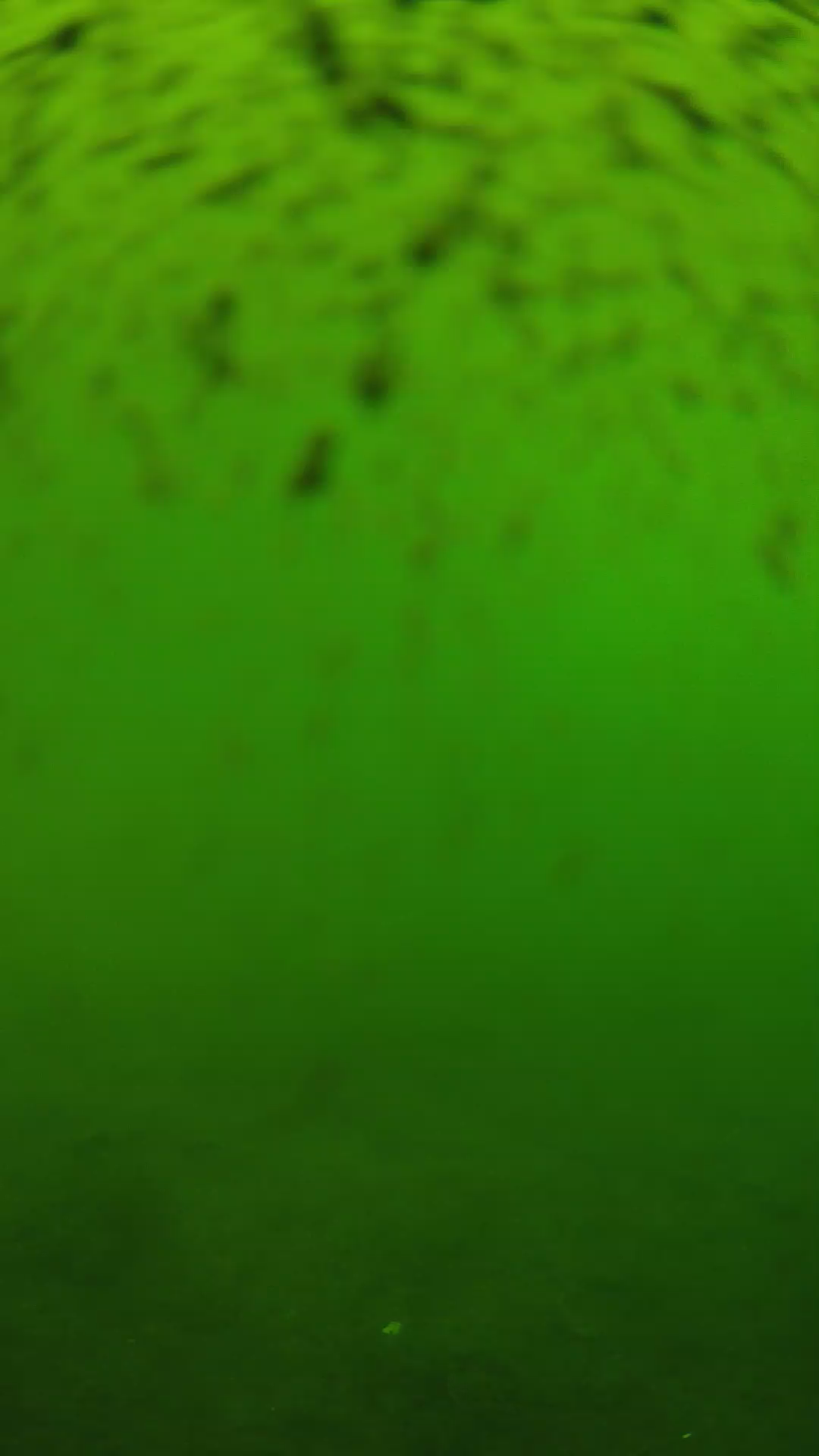 lander_ipcam_20240628123548.png