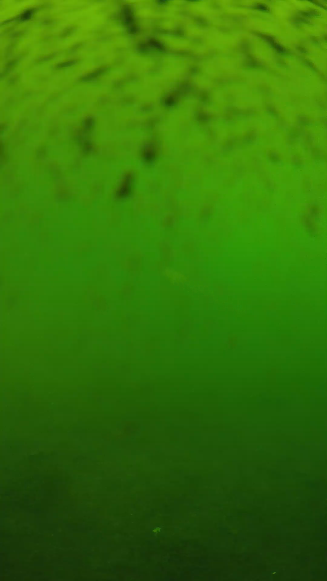 lander_ipcam_20240628123554.png