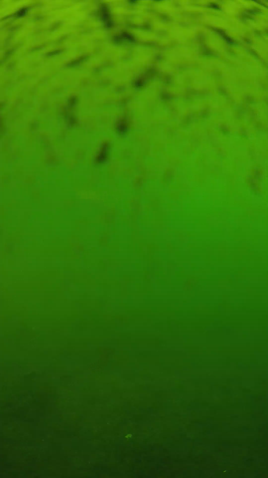 lander_ipcam_20240628123556.png
