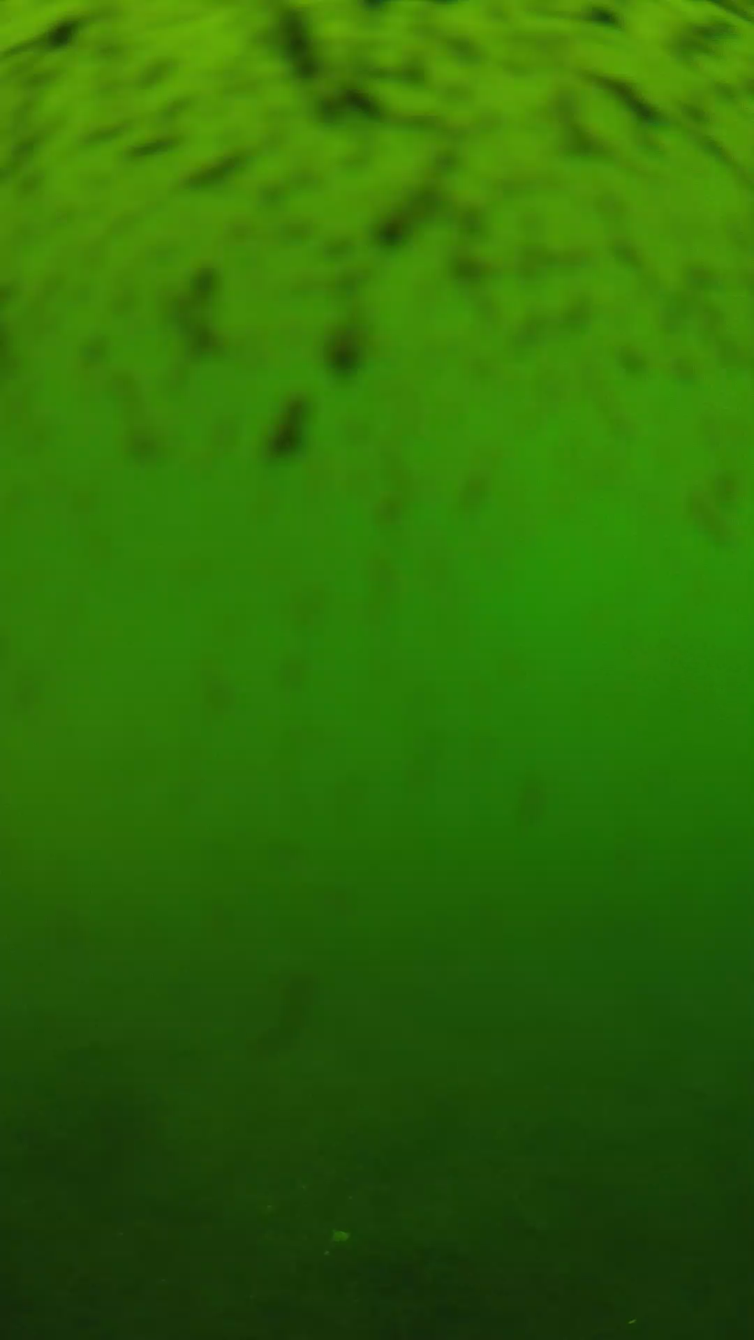 lander_ipcam_20240628130543.png