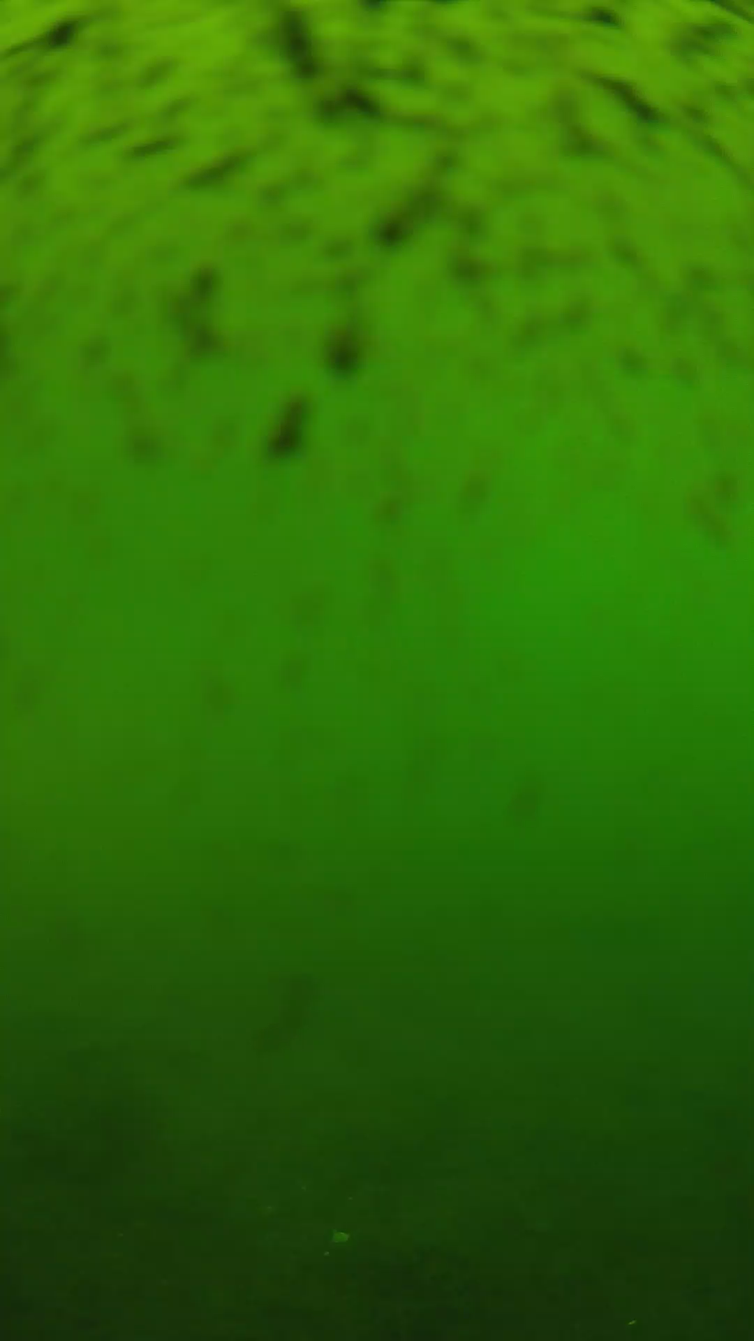 lander_ipcam_20240628130544.png