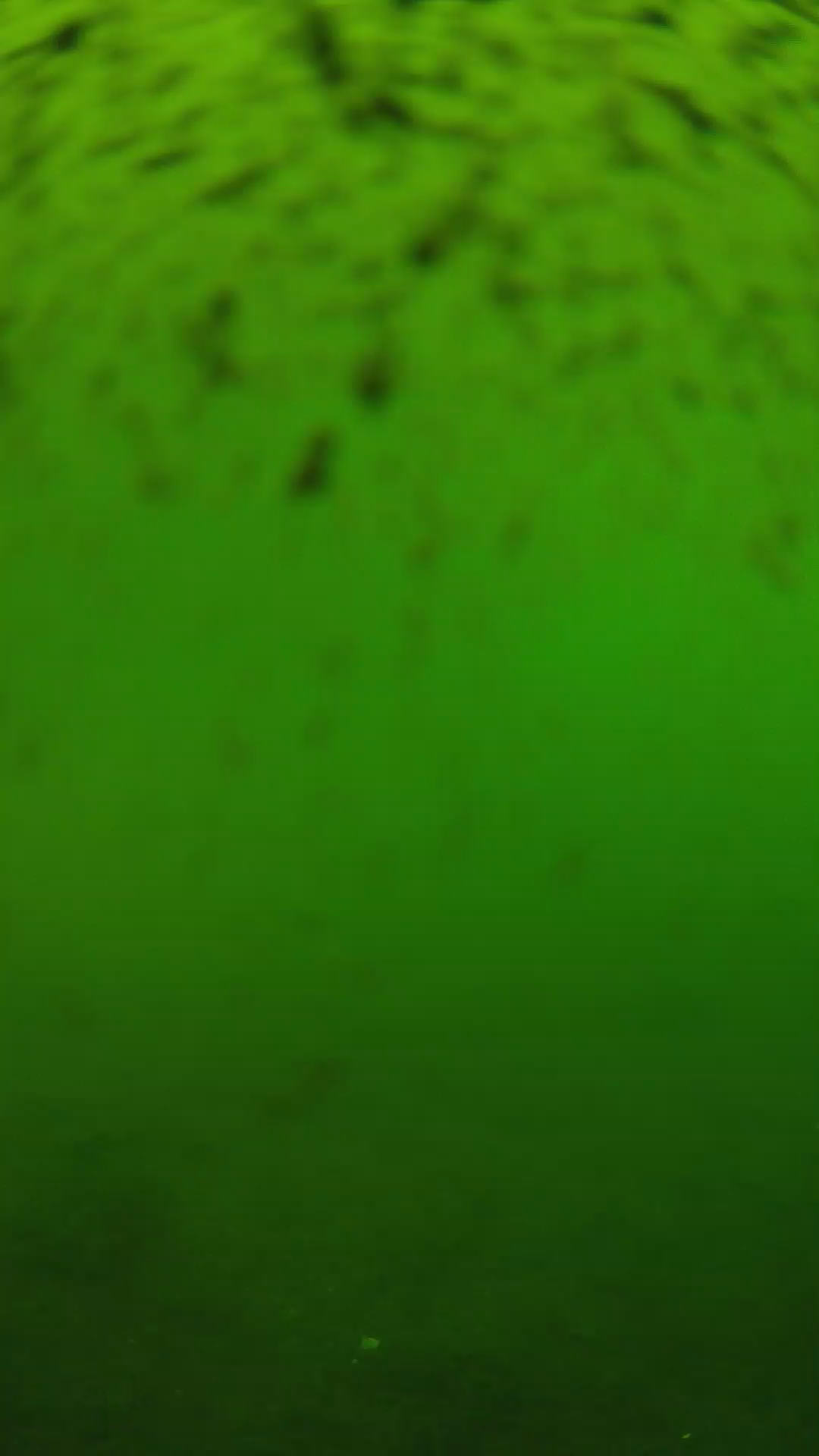 lander_ipcam_20240628130600.png