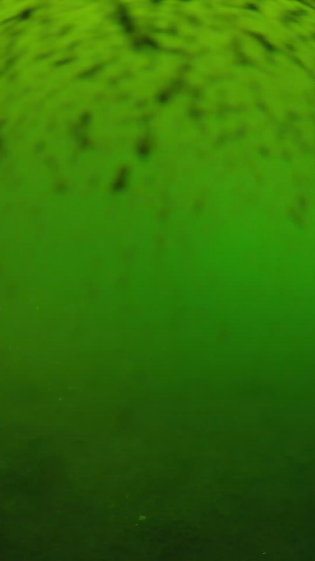lander_ipcam_20240628133543.png