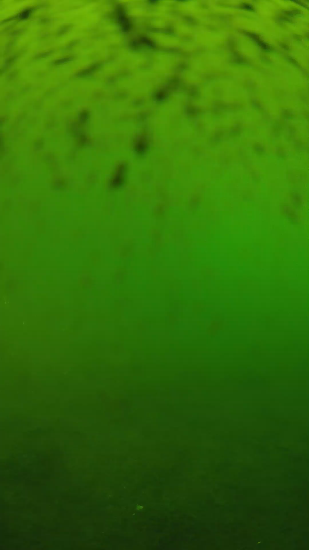 lander_ipcam_20240628133552.png