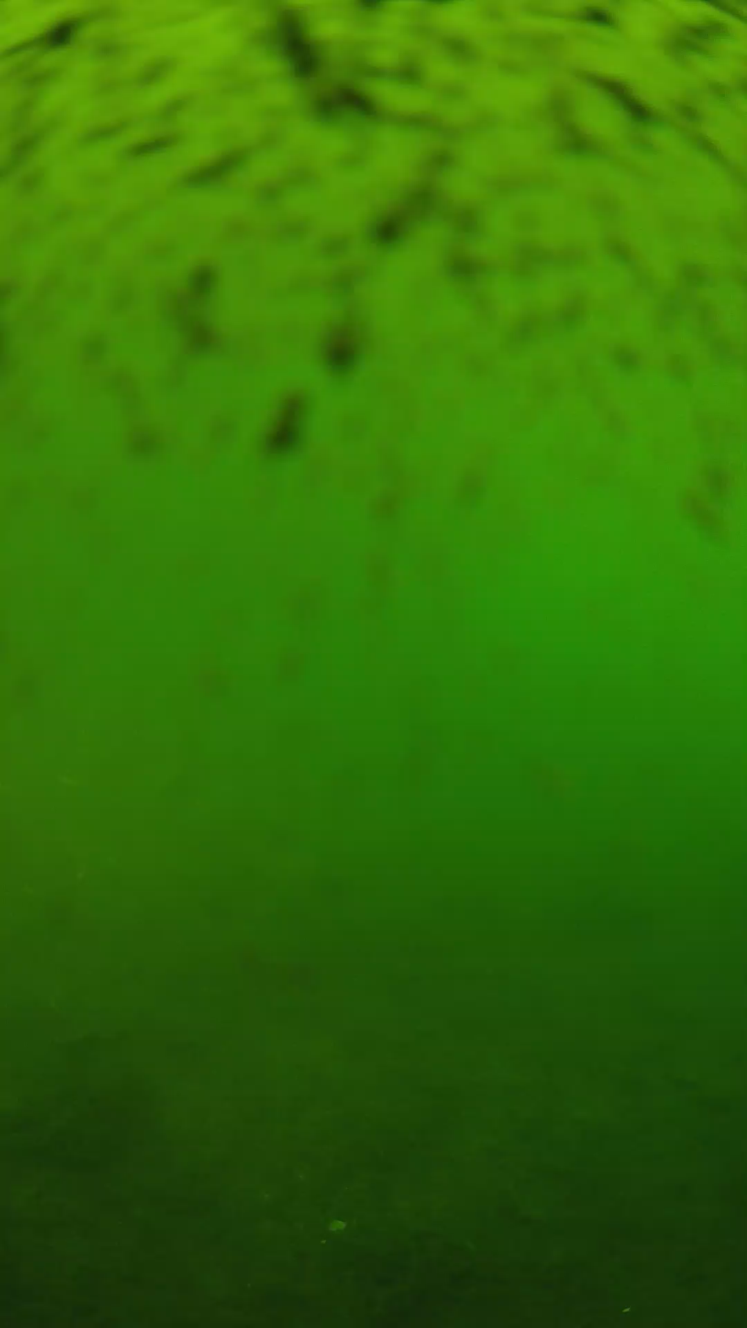 lander_ipcam_20240628133554.png