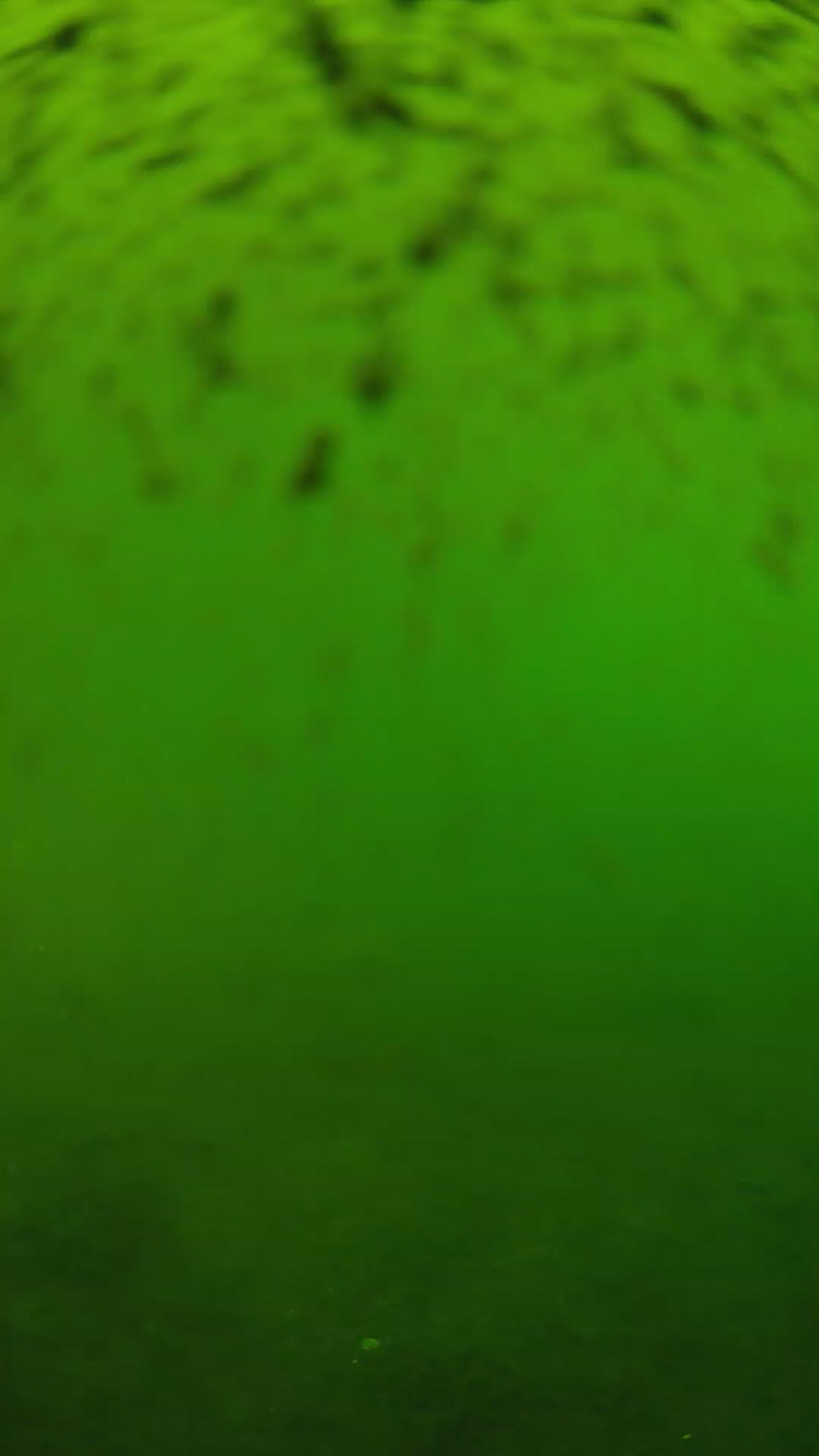 lander_ipcam_20240628133556.png