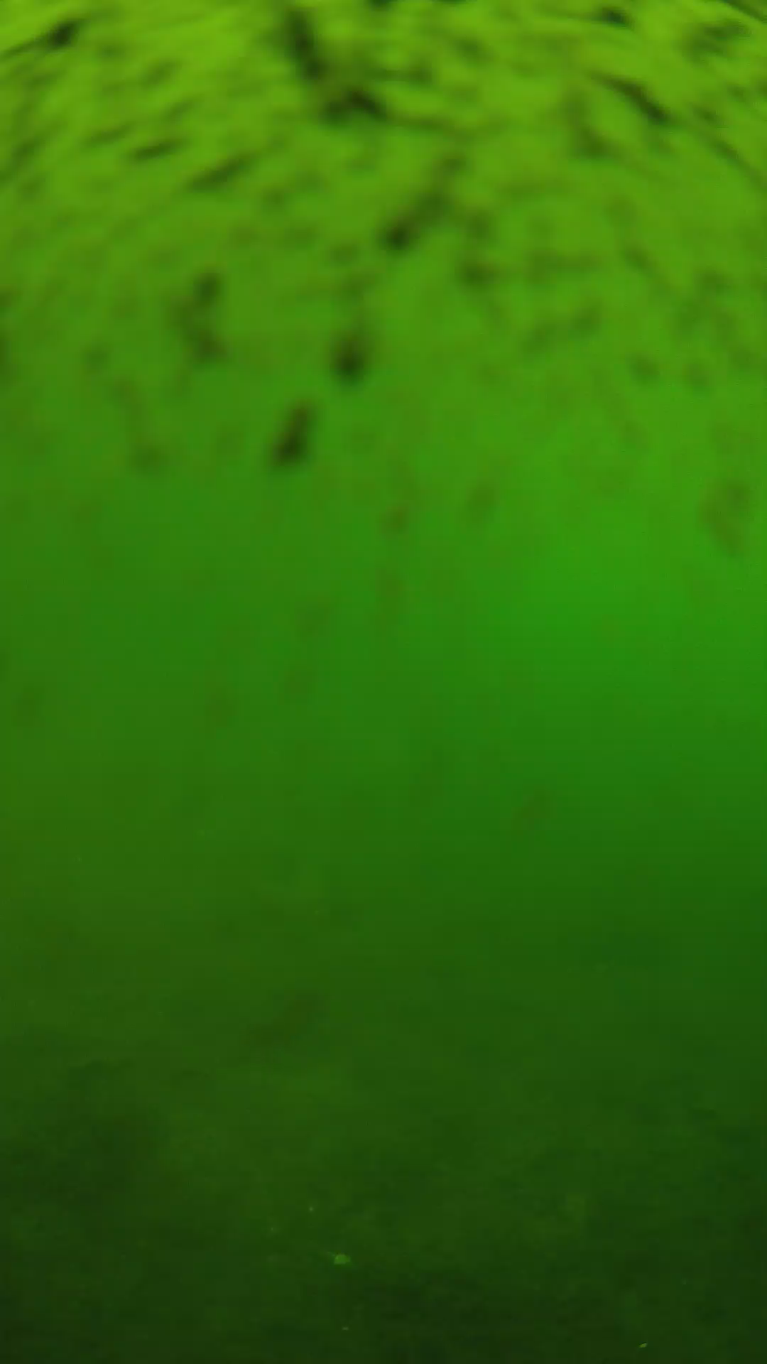 lander_ipcam_20240628140540.png