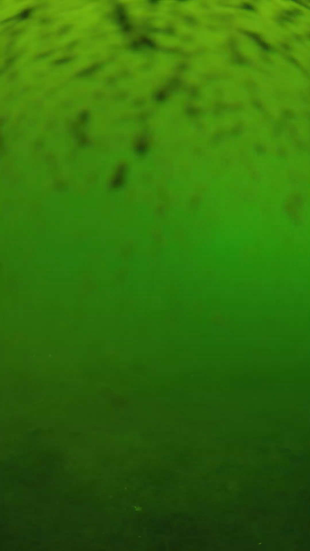 lander_ipcam_20240628140545.png