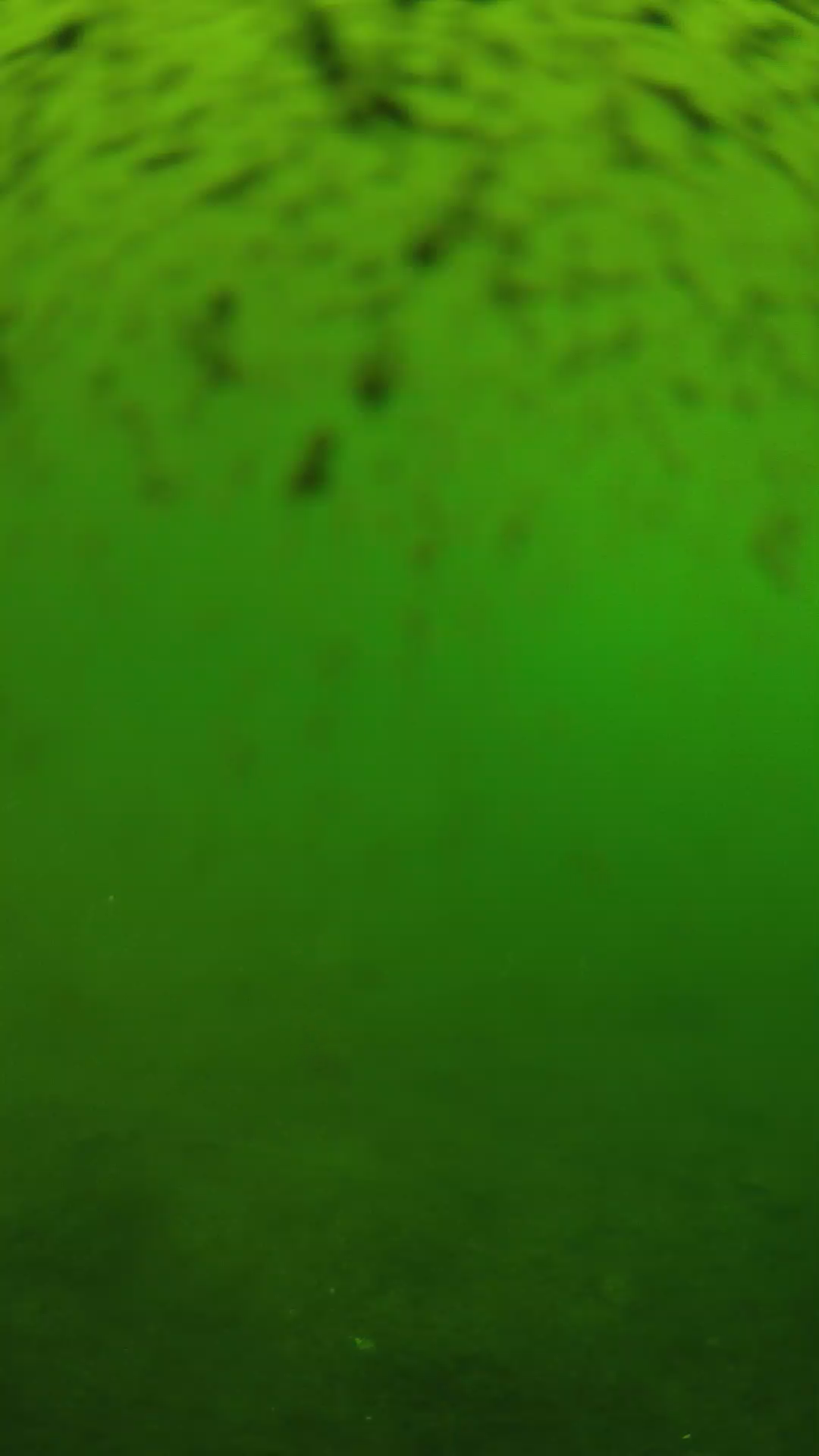 lander_ipcam_20240628140549.png