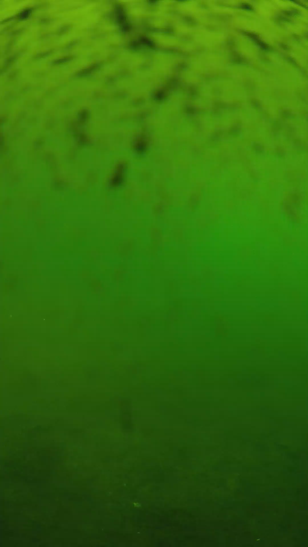 lander_ipcam_20240628140601.png