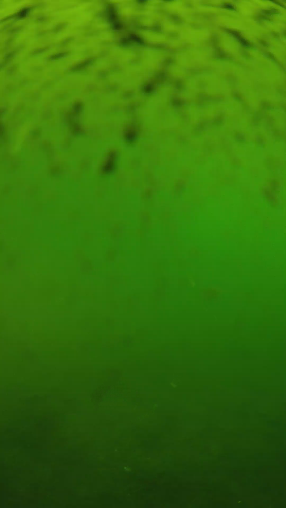 lander_ipcam_20240628143542.png