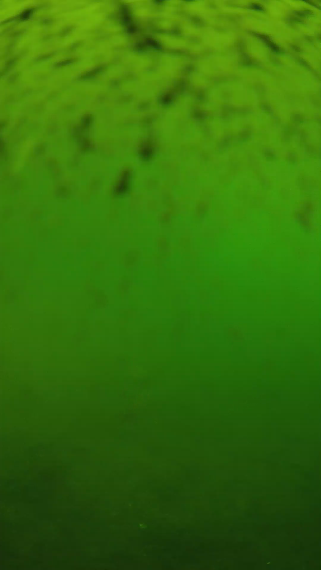 lander_ipcam_20240628143551.png