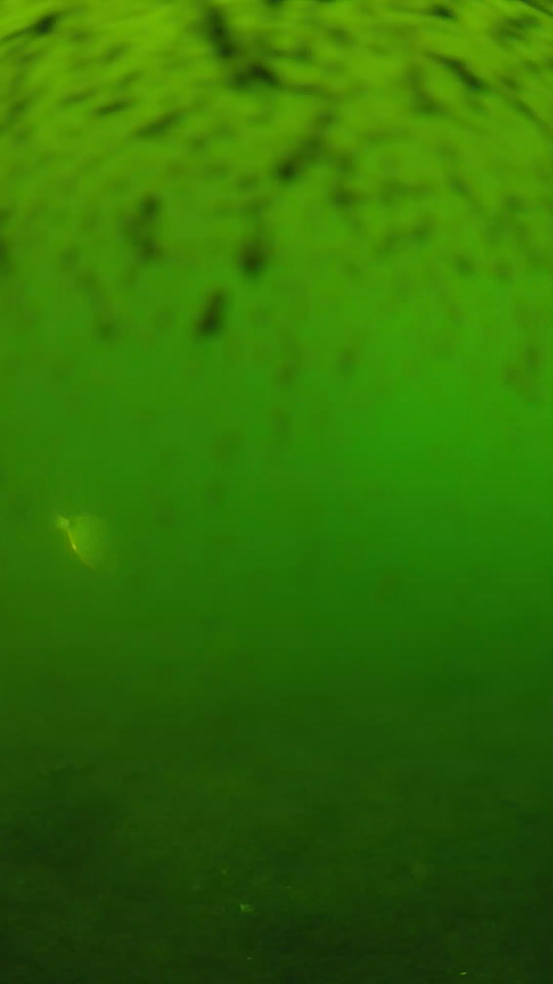 lander_ipcam_20240628150557.png