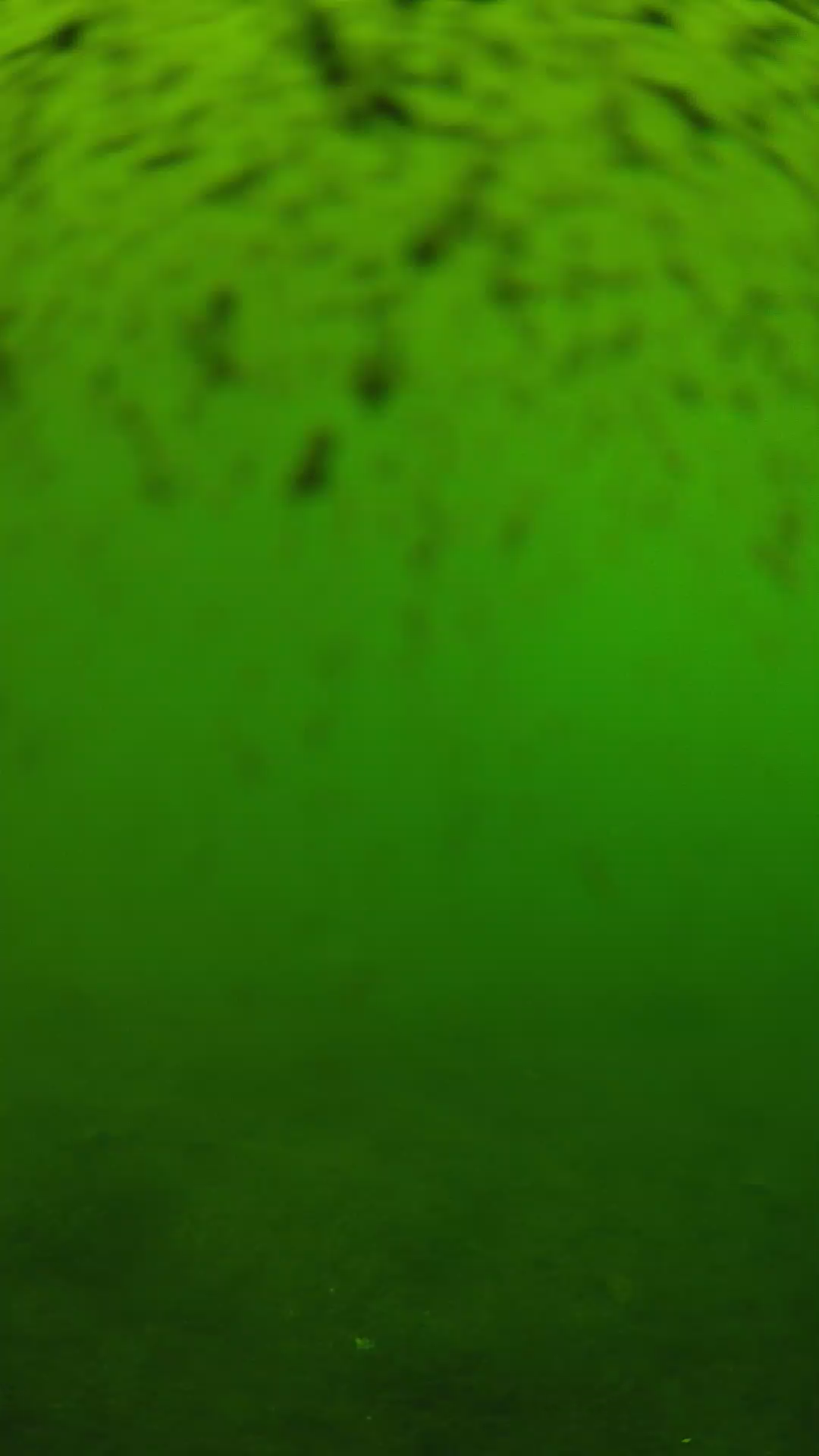 lander_ipcam_20240628150608.png