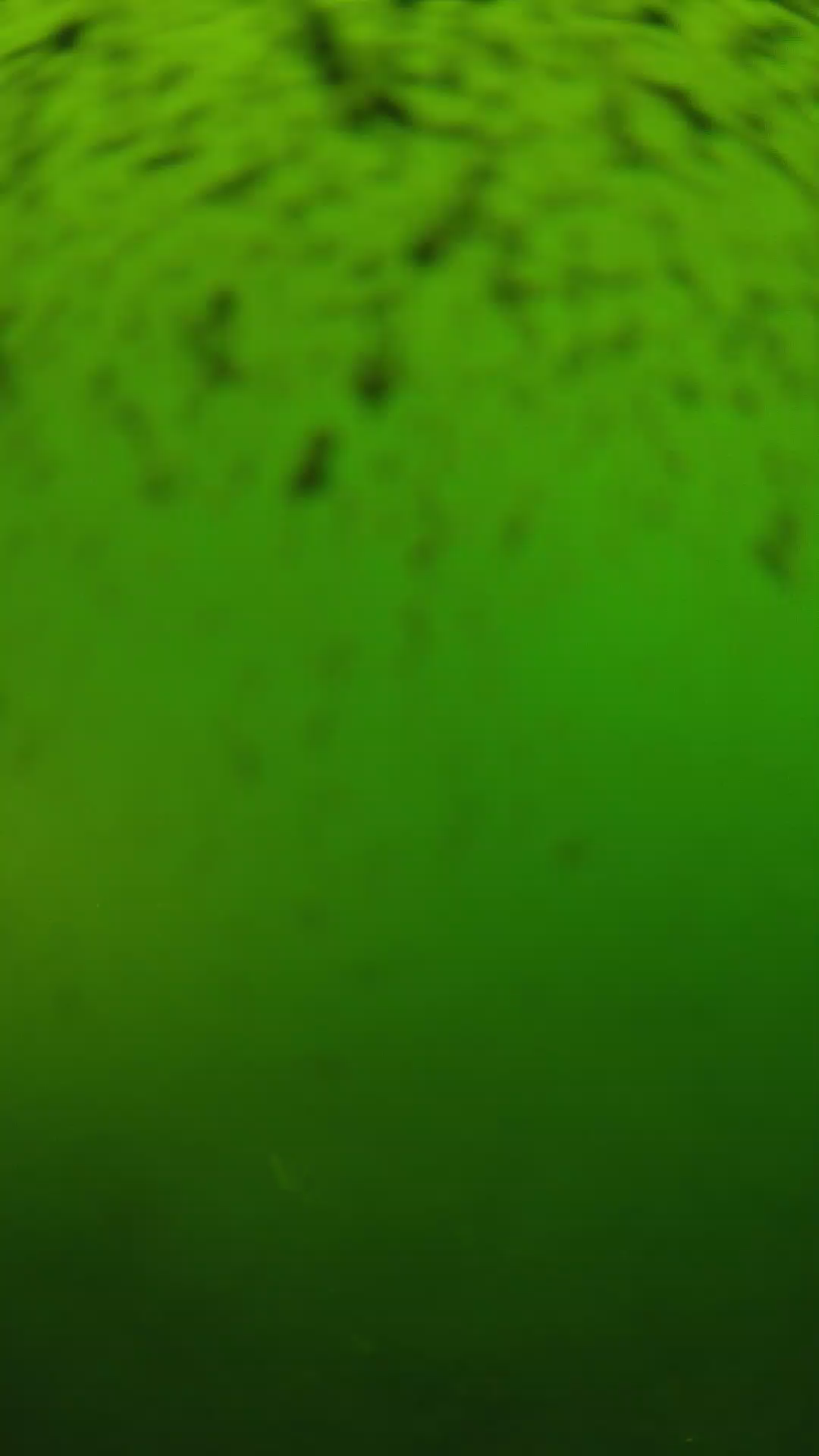 lander_ipcam_20240628153539.png
