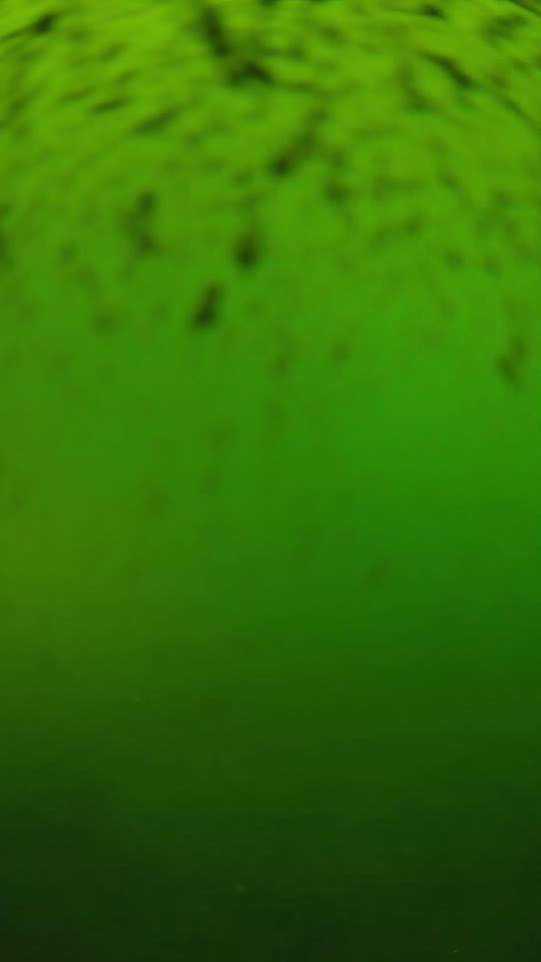 lander_ipcam_20240628153555.png