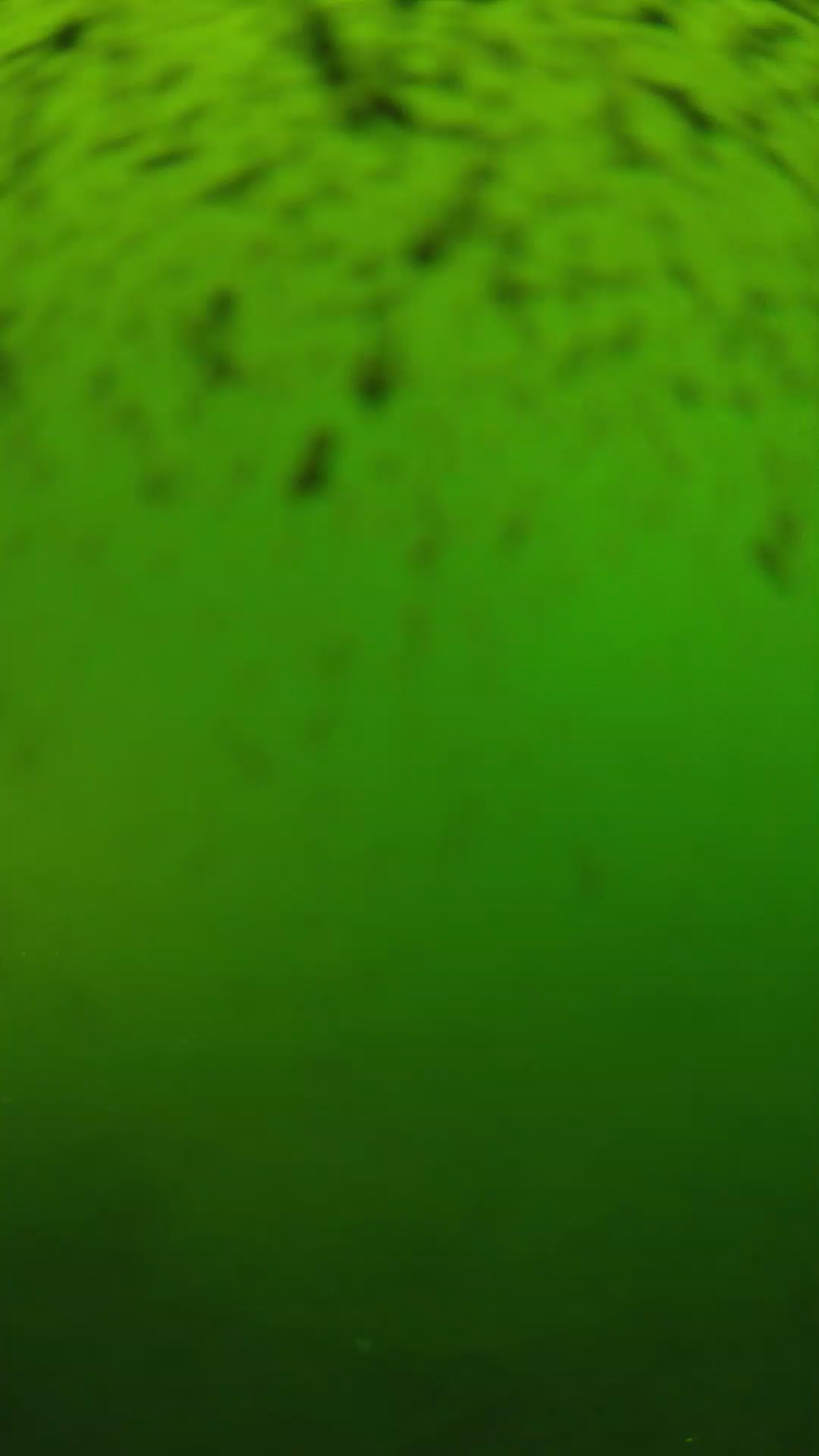 lander_ipcam_20240628153558.png