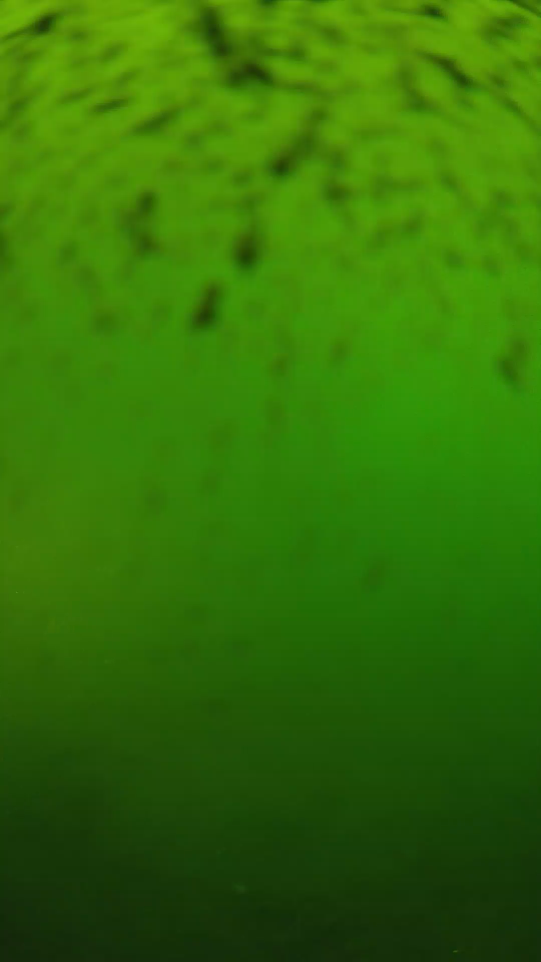 lander_ipcam_20240628153605.png