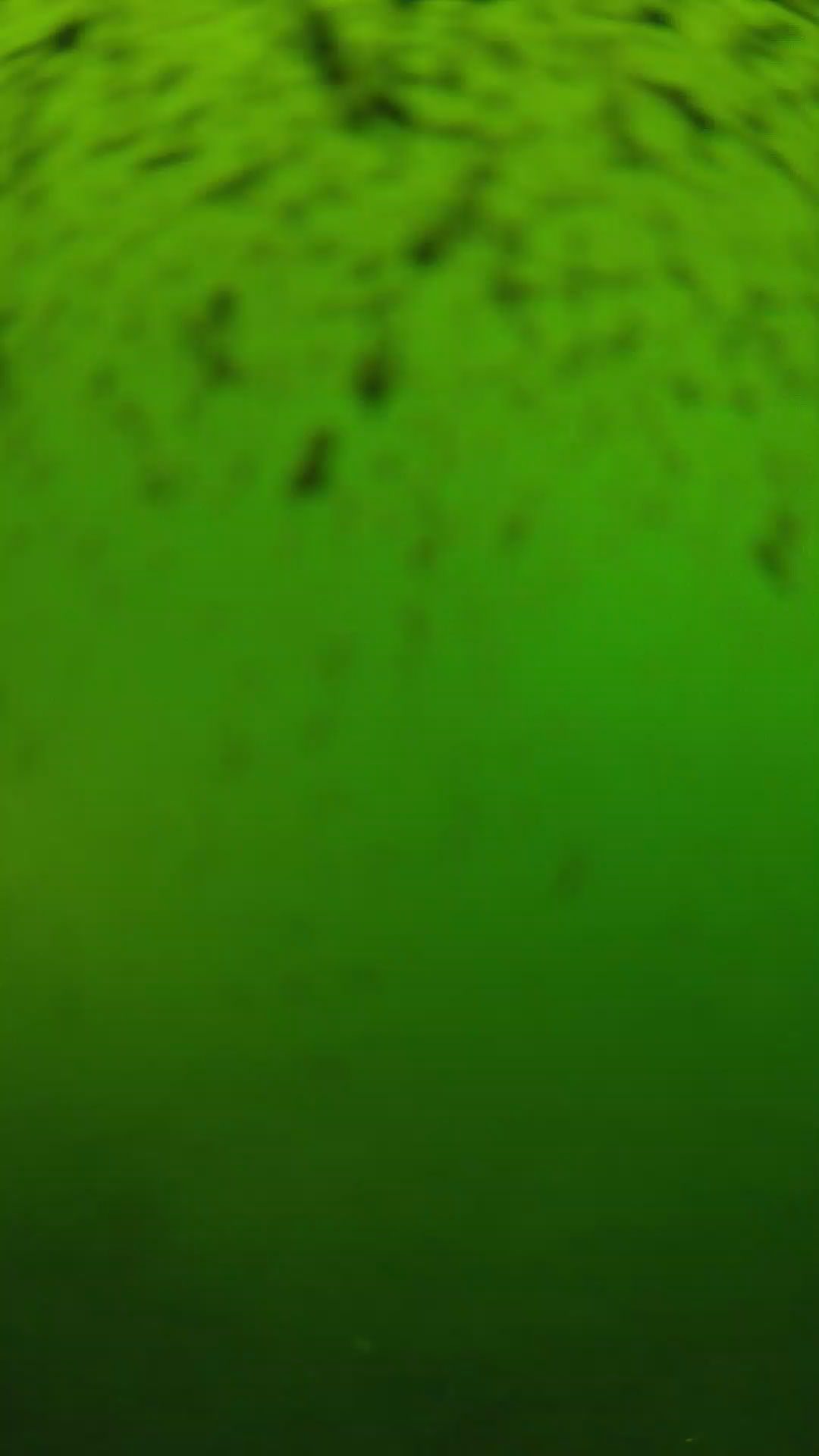 lander_ipcam_20240628153608.png