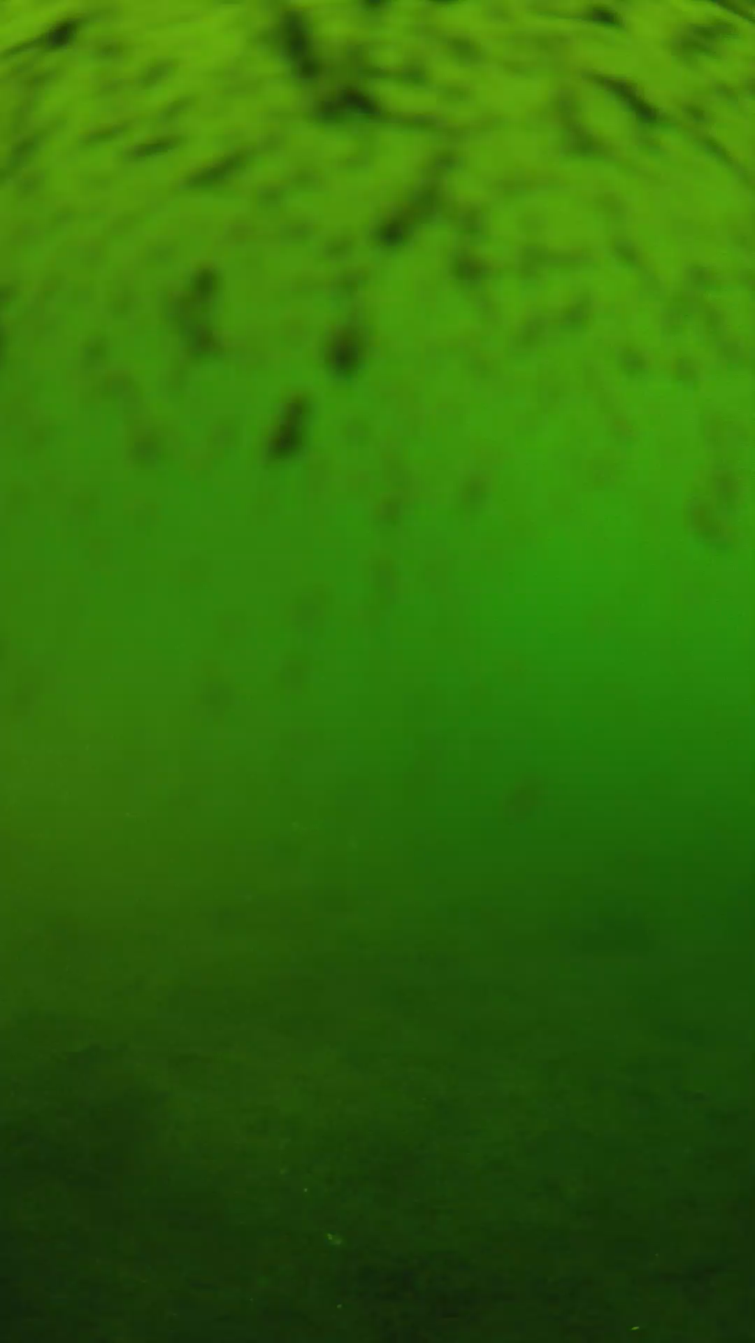 lander_ipcam_20240628160547.png