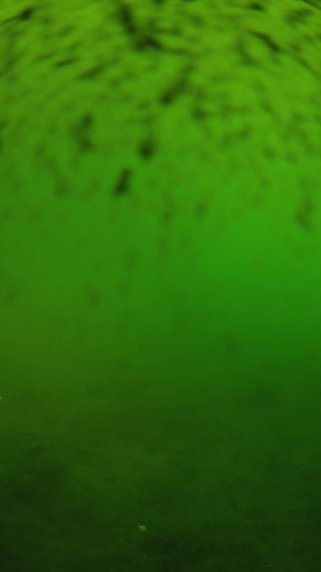 lander_ipcam_20240628163546.png