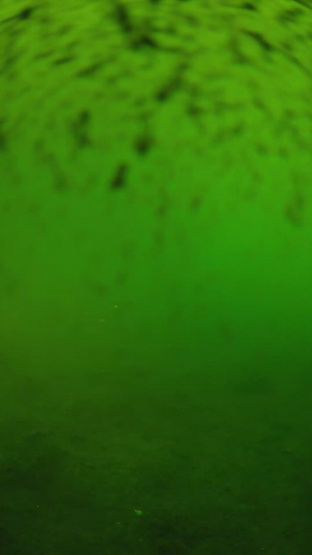 lander_ipcam_20240628163605.png