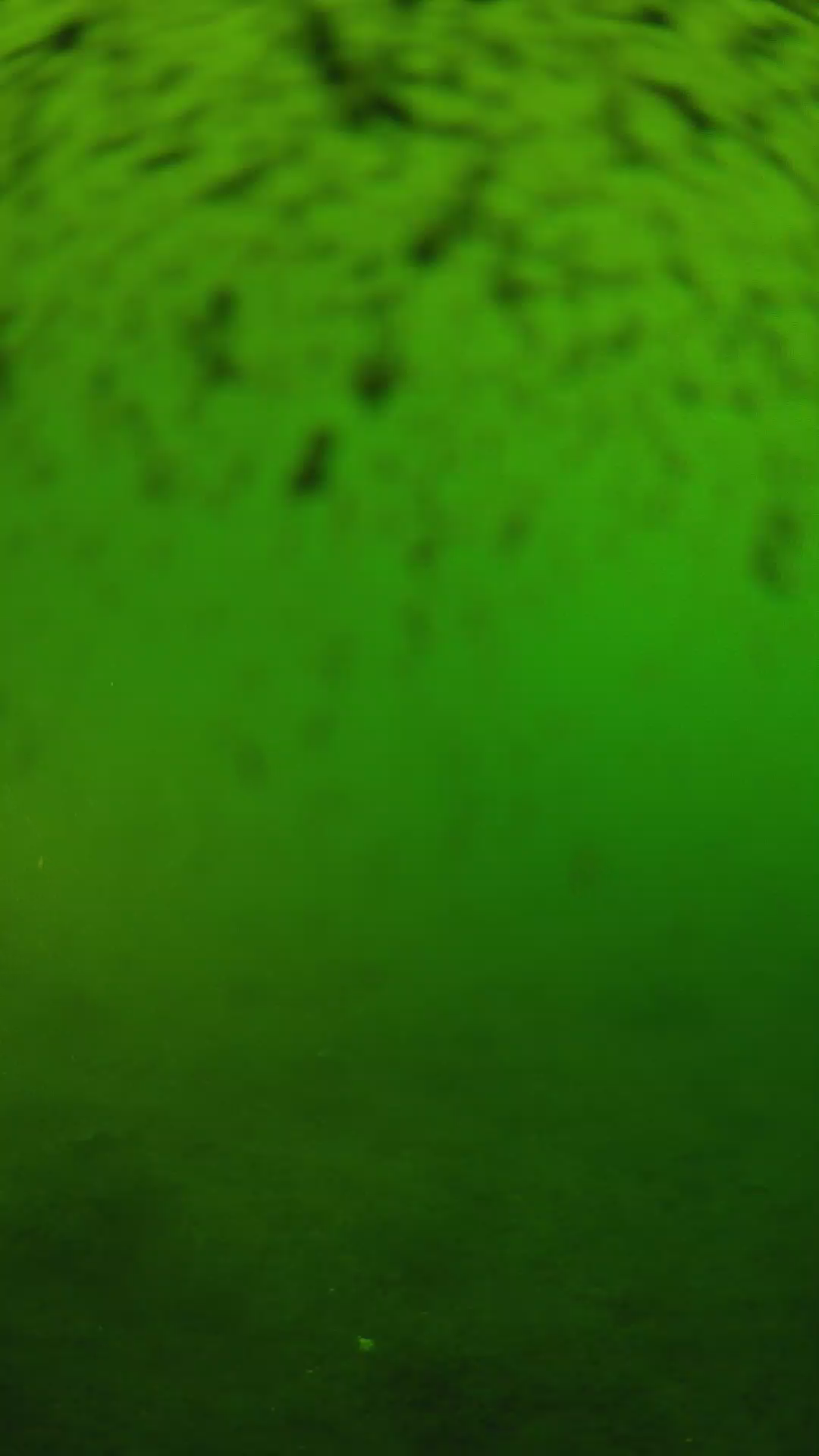 lander_ipcam_20240628170545.png