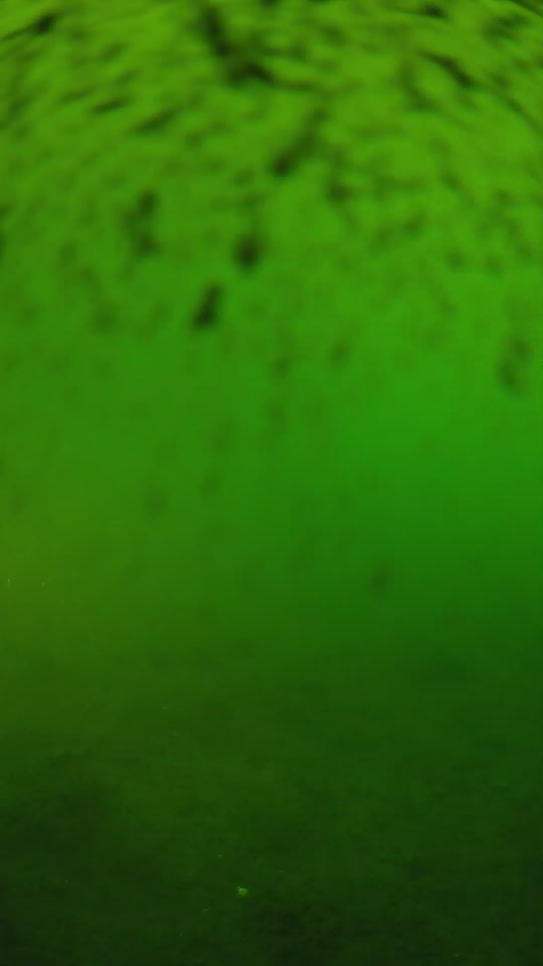 lander_ipcam_20240628170549.png