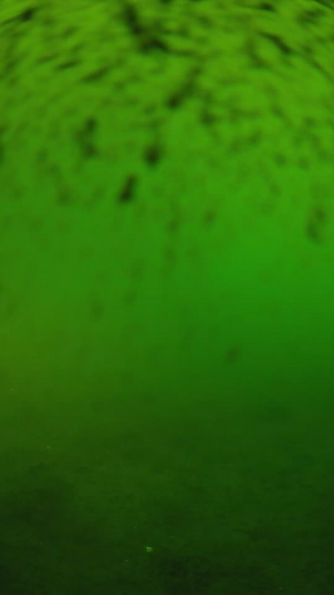 lander_ipcam_20240628170551.png
