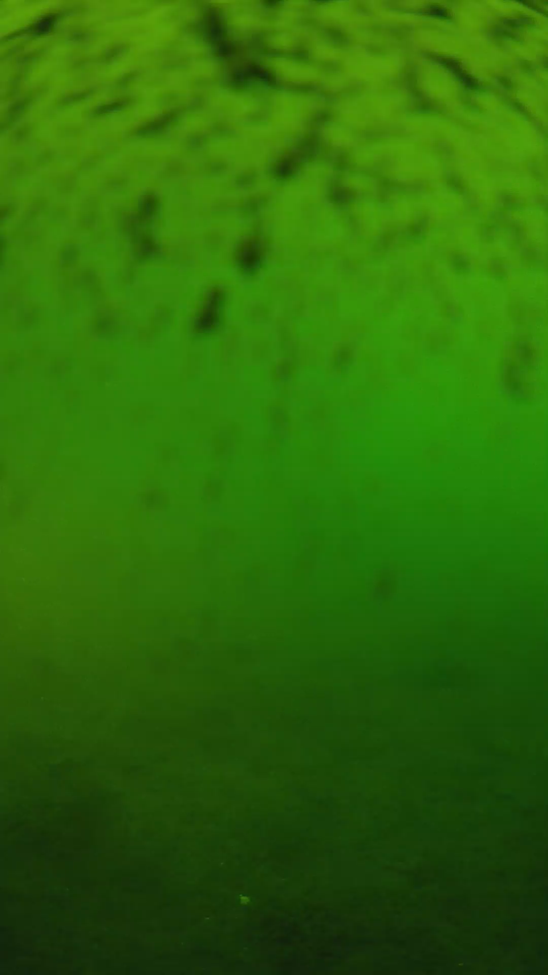 lander_ipcam_20240628170609.png