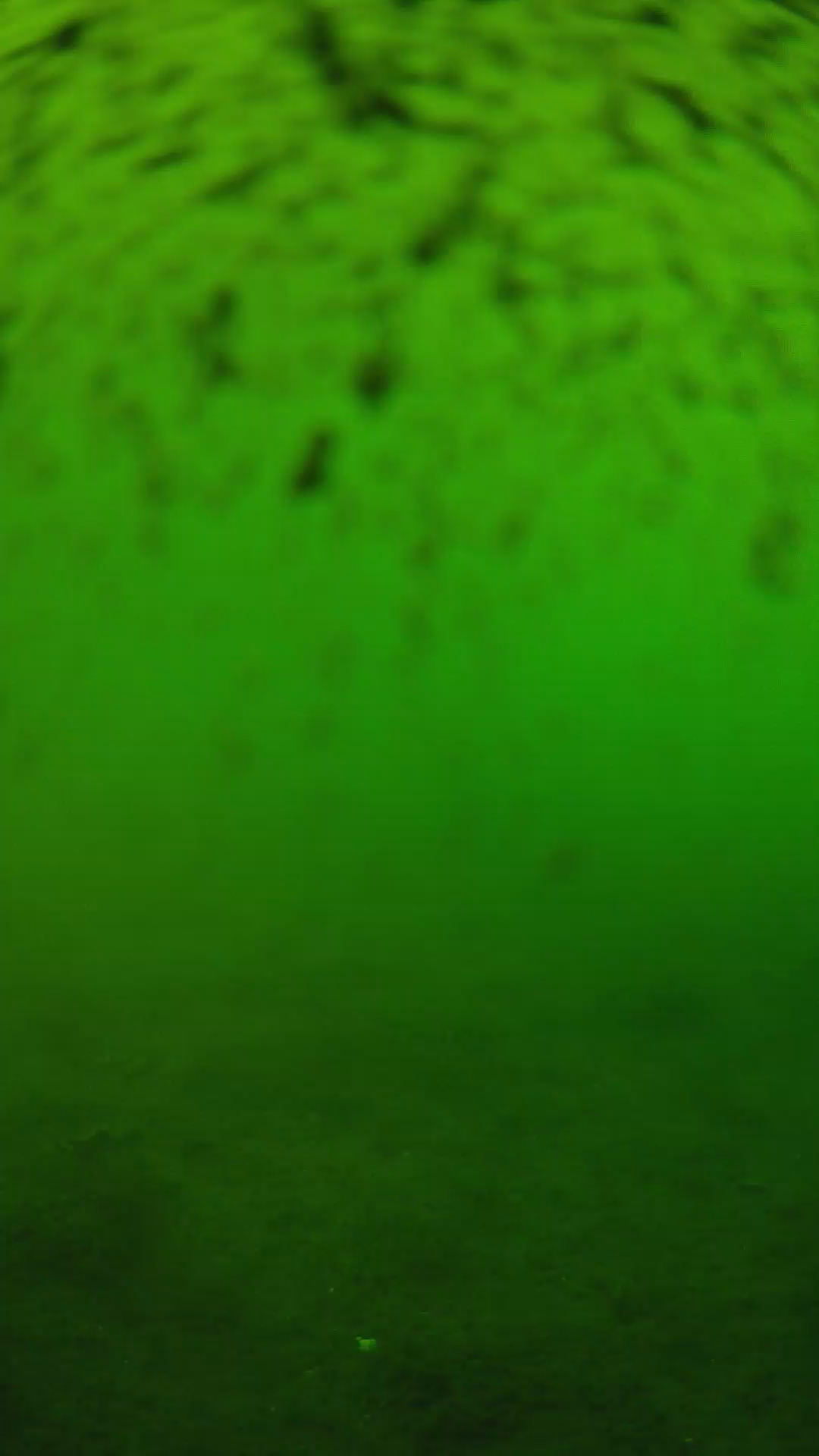 lander_ipcam_20240628173542.png