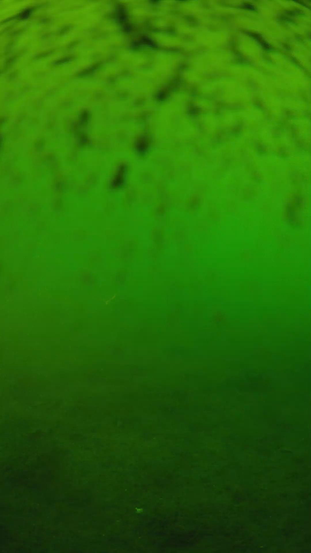 lander_ipcam_20240628173548.png