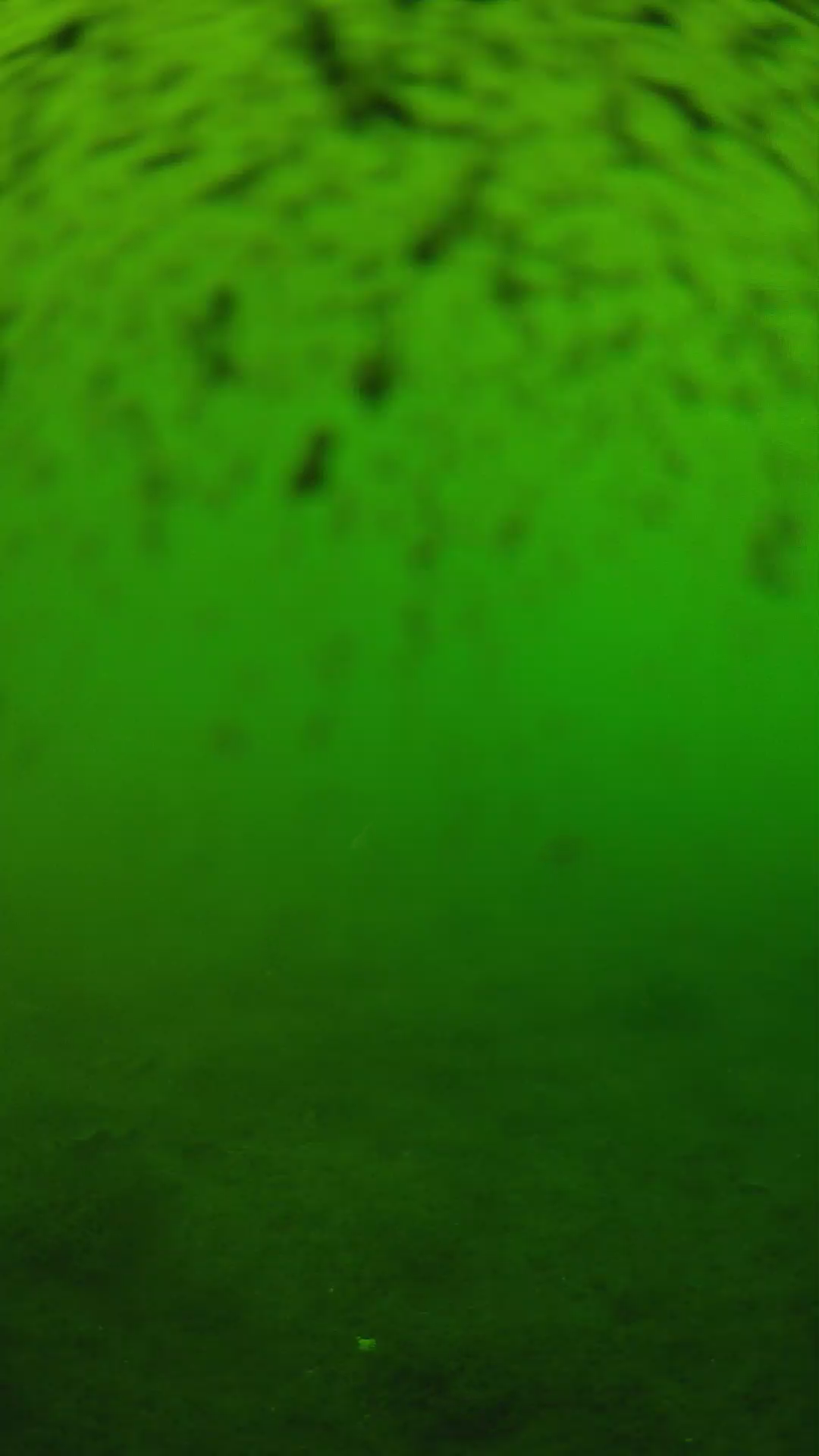 lander_ipcam_20240628173554.png