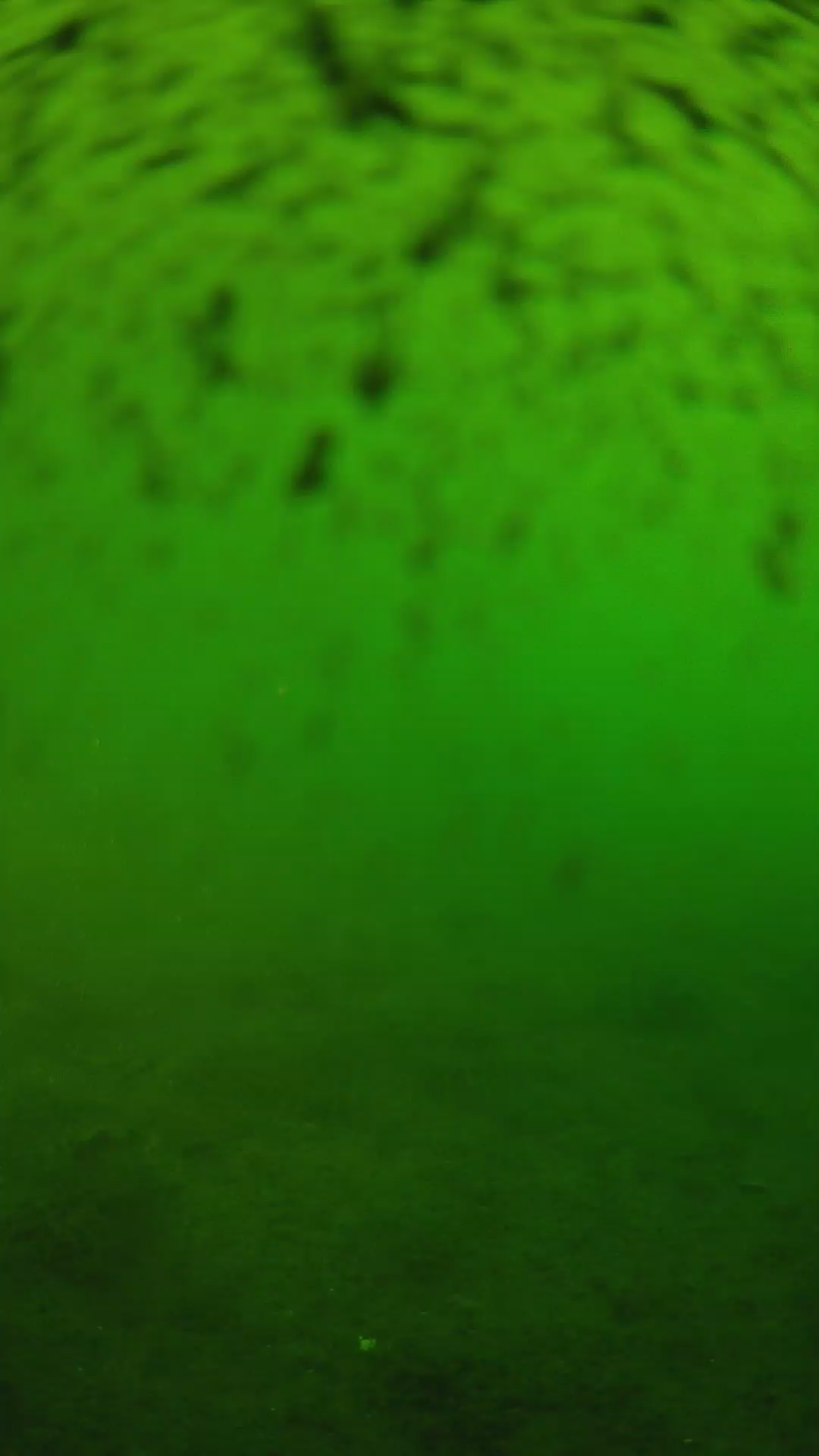 lander_ipcam_20240628183550.png