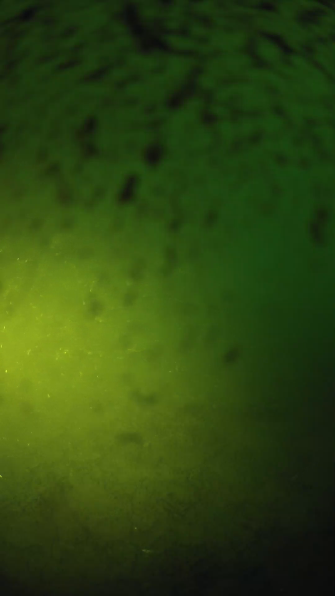 lander_ipcam_20240628200606.png
