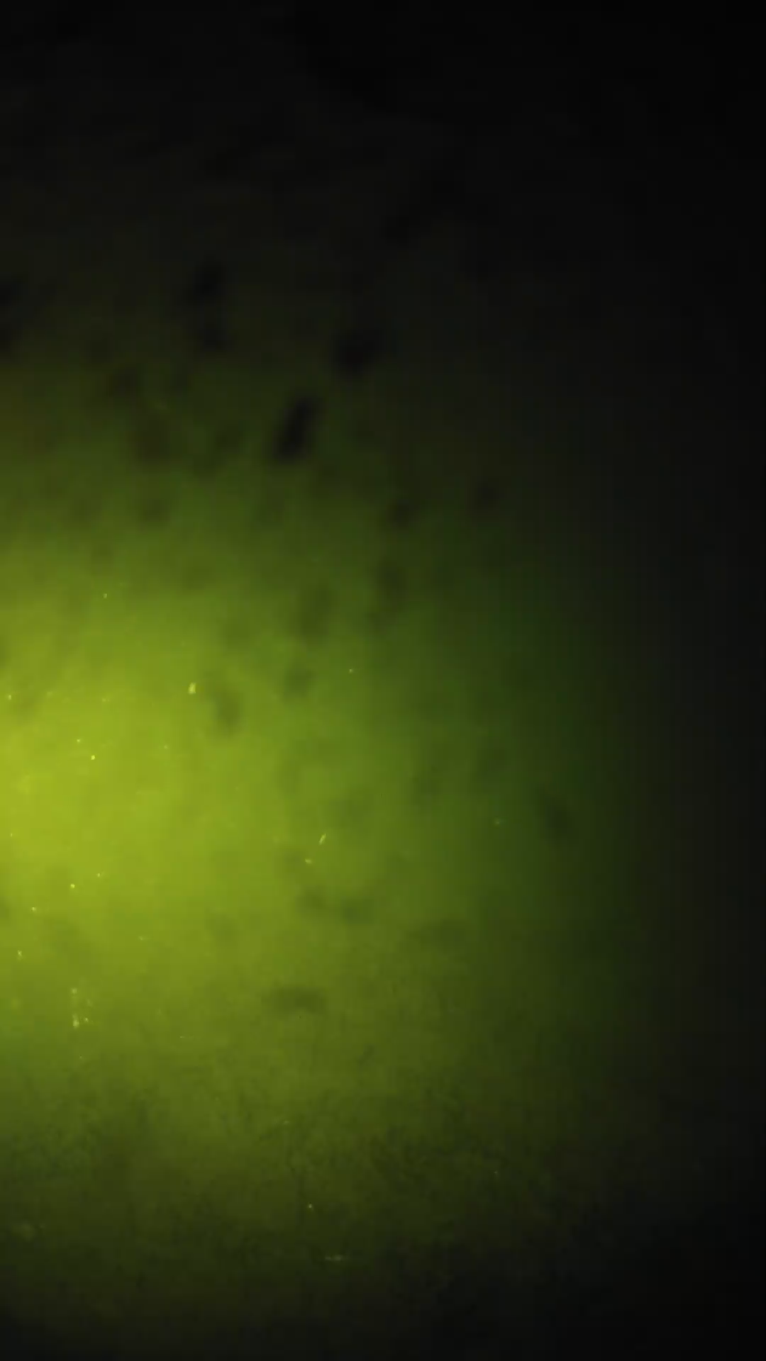 lander_ipcam_20240628203538.png