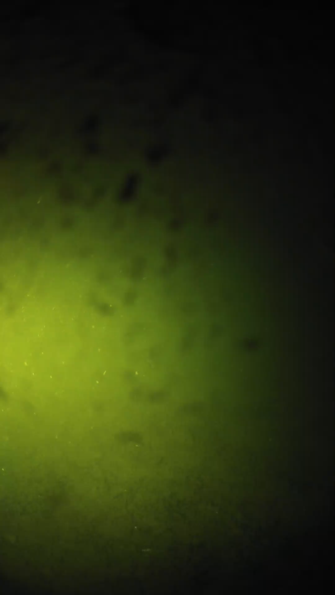 lander_ipcam_20240628203540.png
