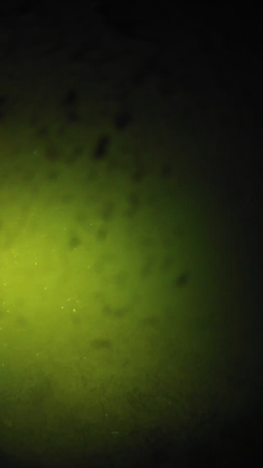 lander_ipcam_20240628203541.png