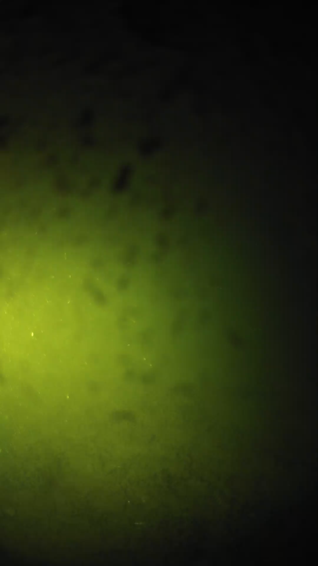 lander_ipcam_20240628203555.png