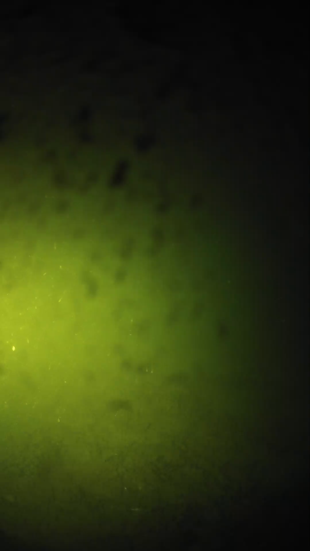 lander_ipcam_20240628203557.png