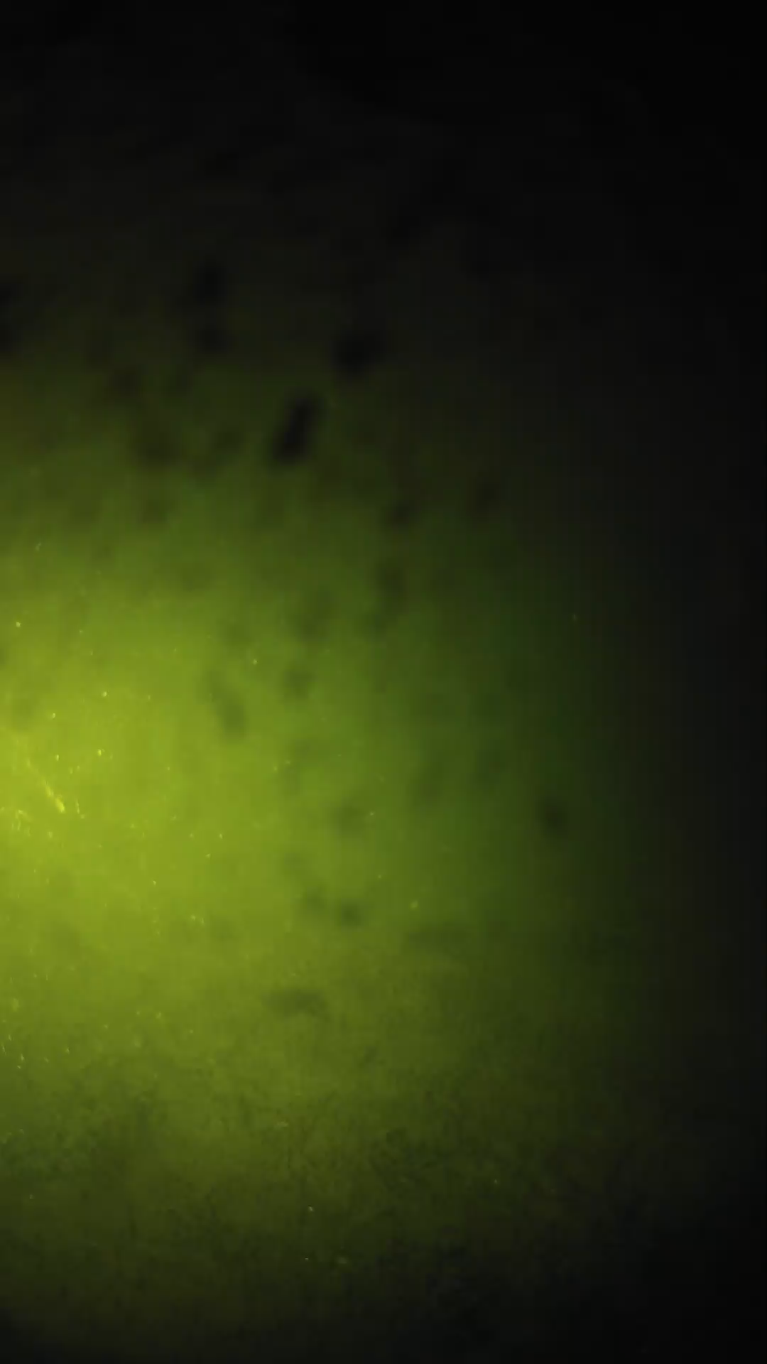 lander_ipcam_20240628210538.png