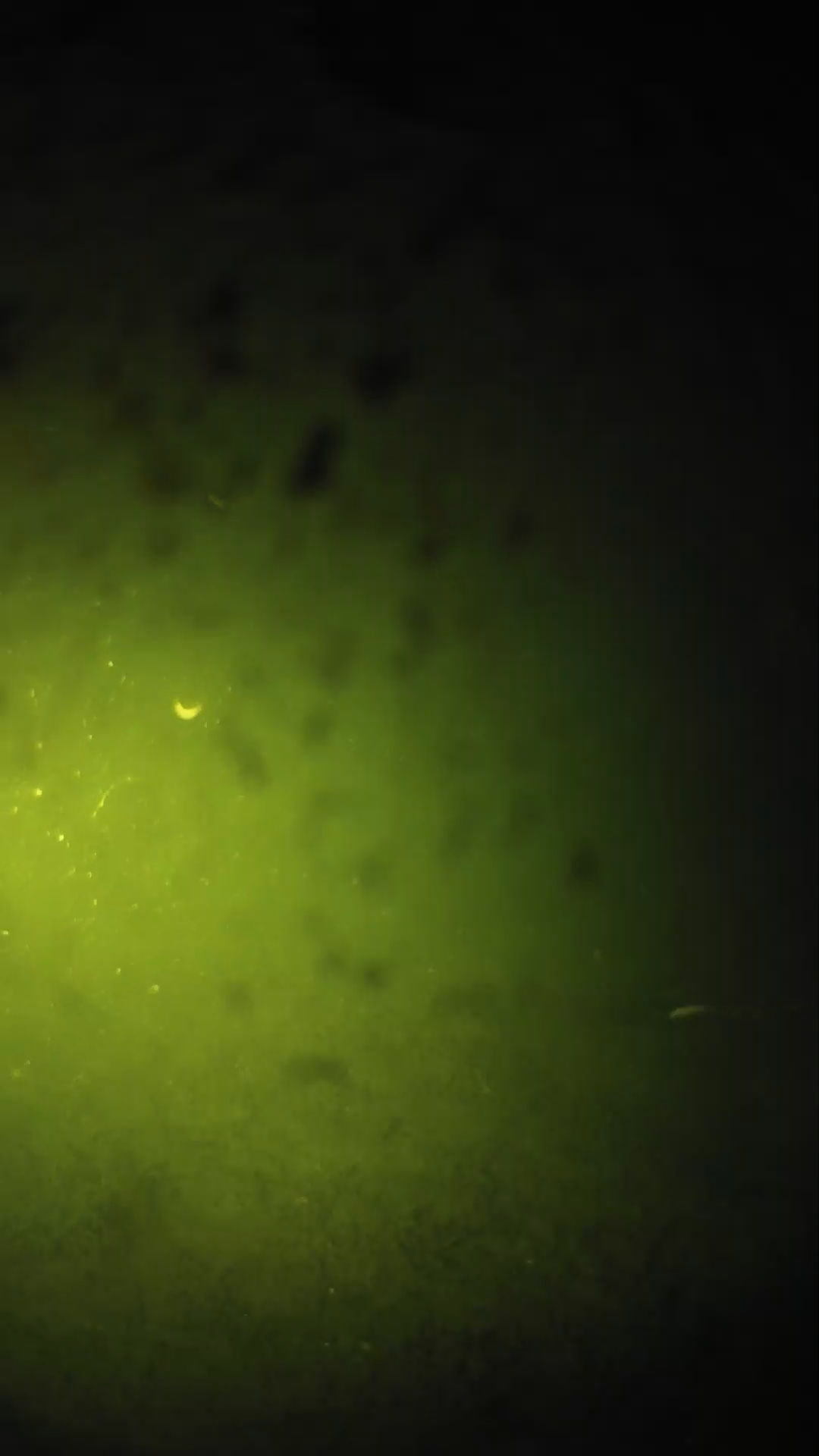 lander_ipcam_20240628210545.png
