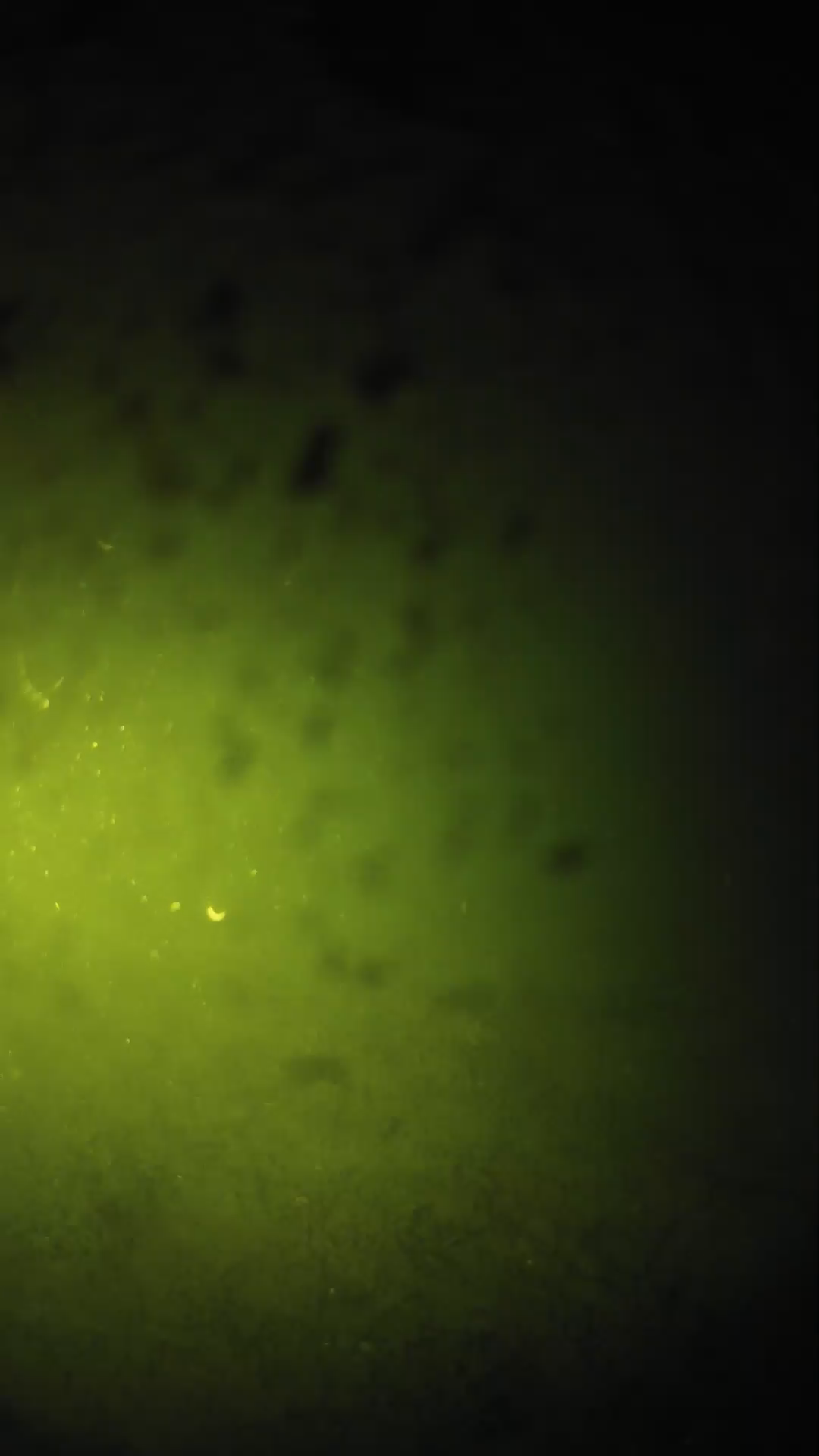 lander_ipcam_20240628210551.png