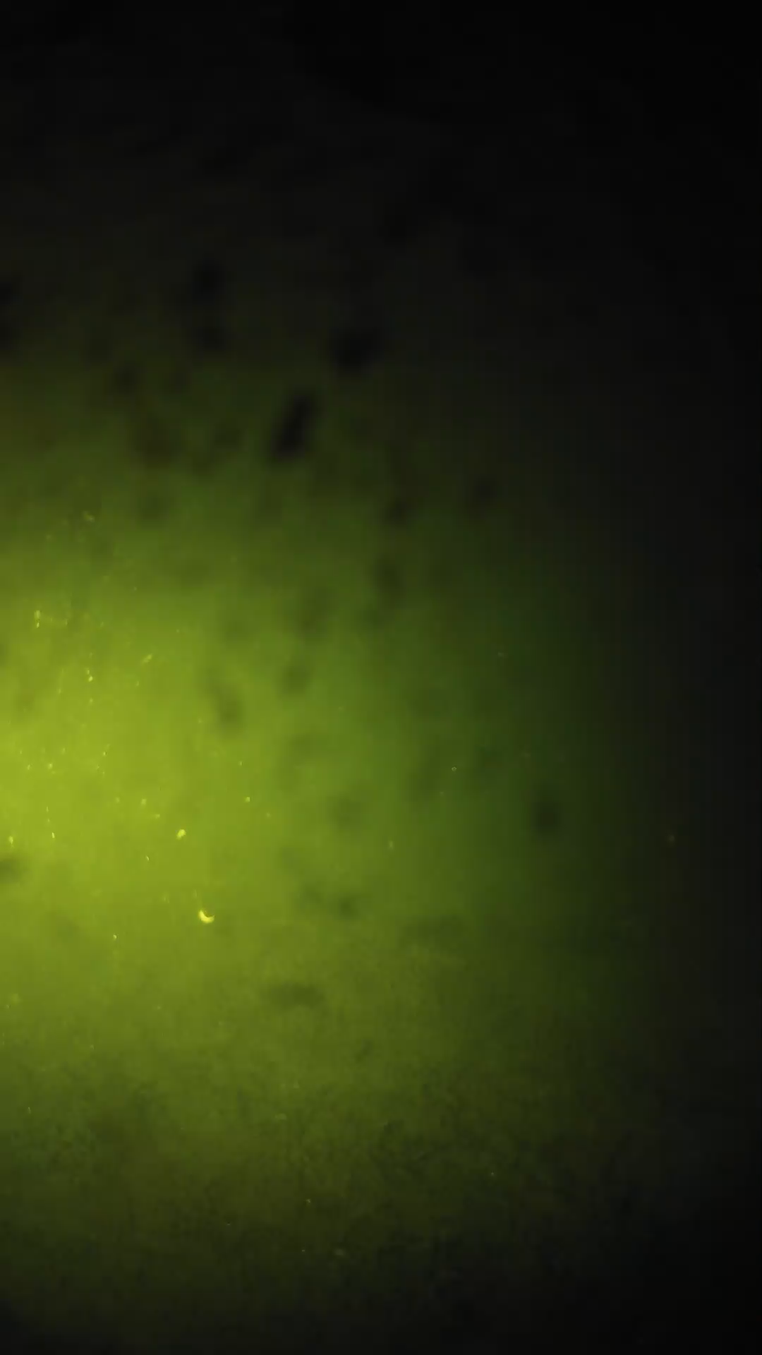 lander_ipcam_20240628210553.png