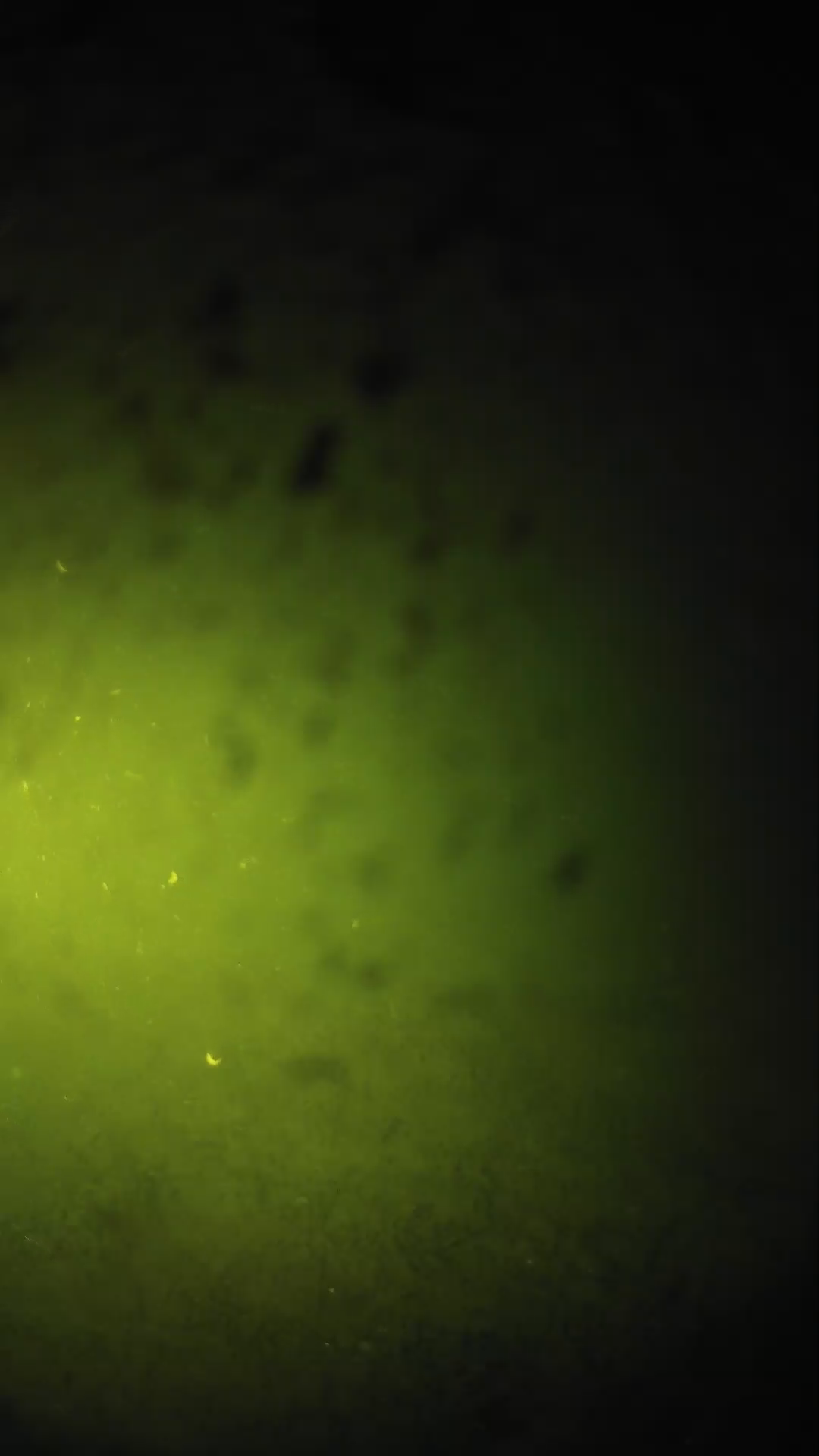 lander_ipcam_20240628210555.png