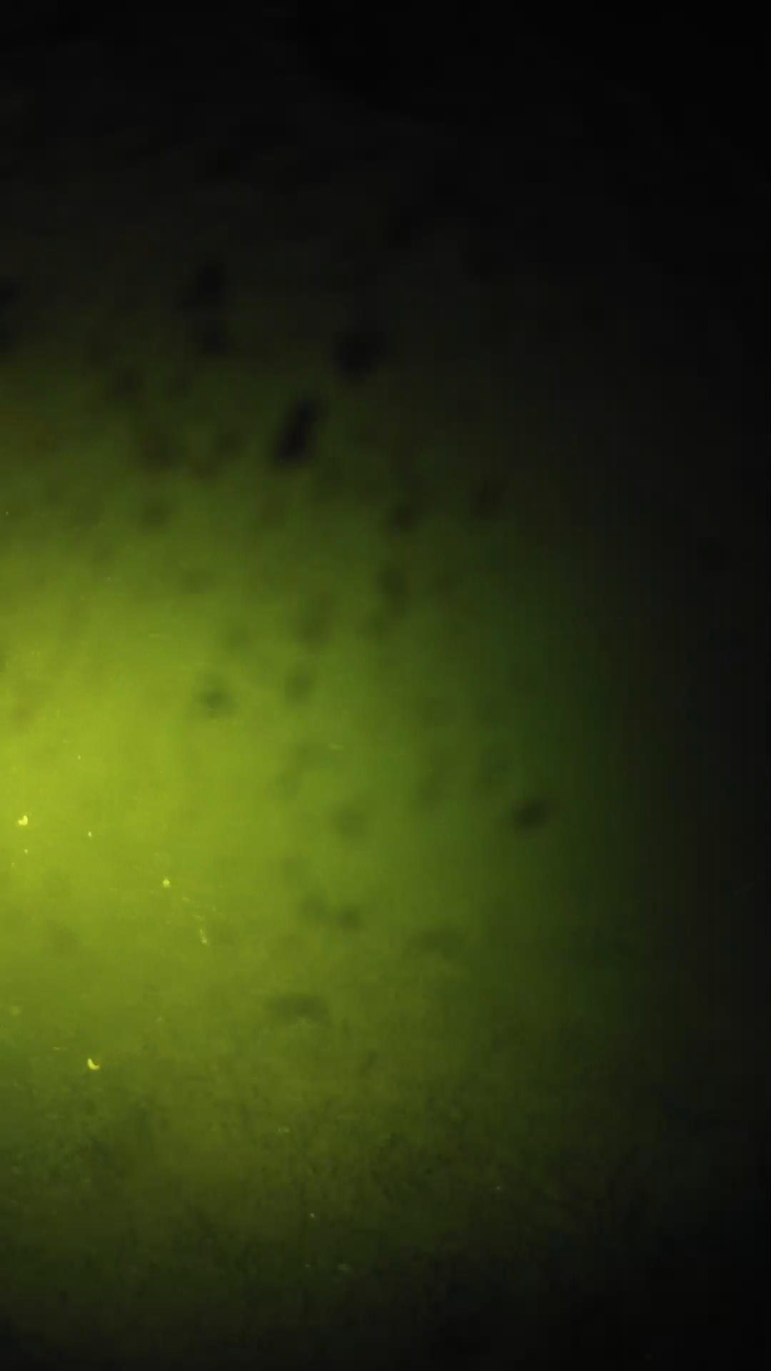 lander_ipcam_20240628210558.png
