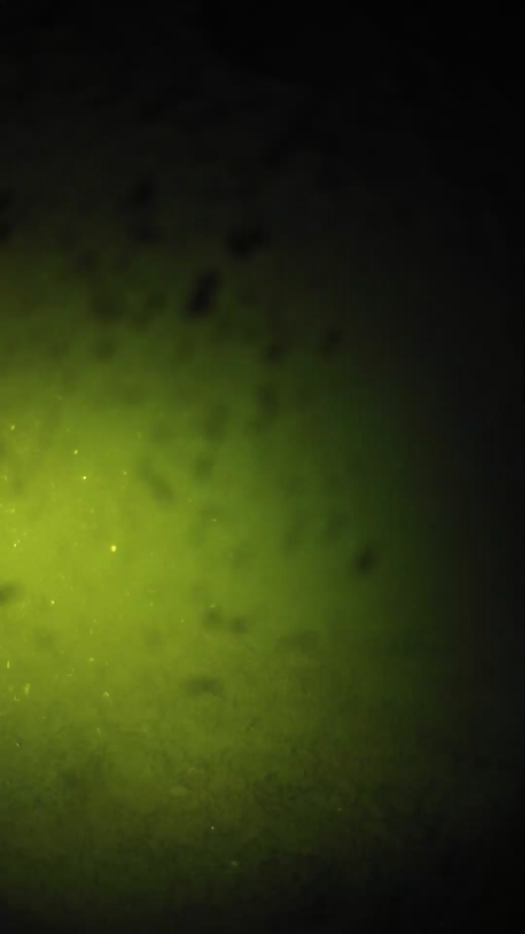 lander_ipcam_20240628213542.png