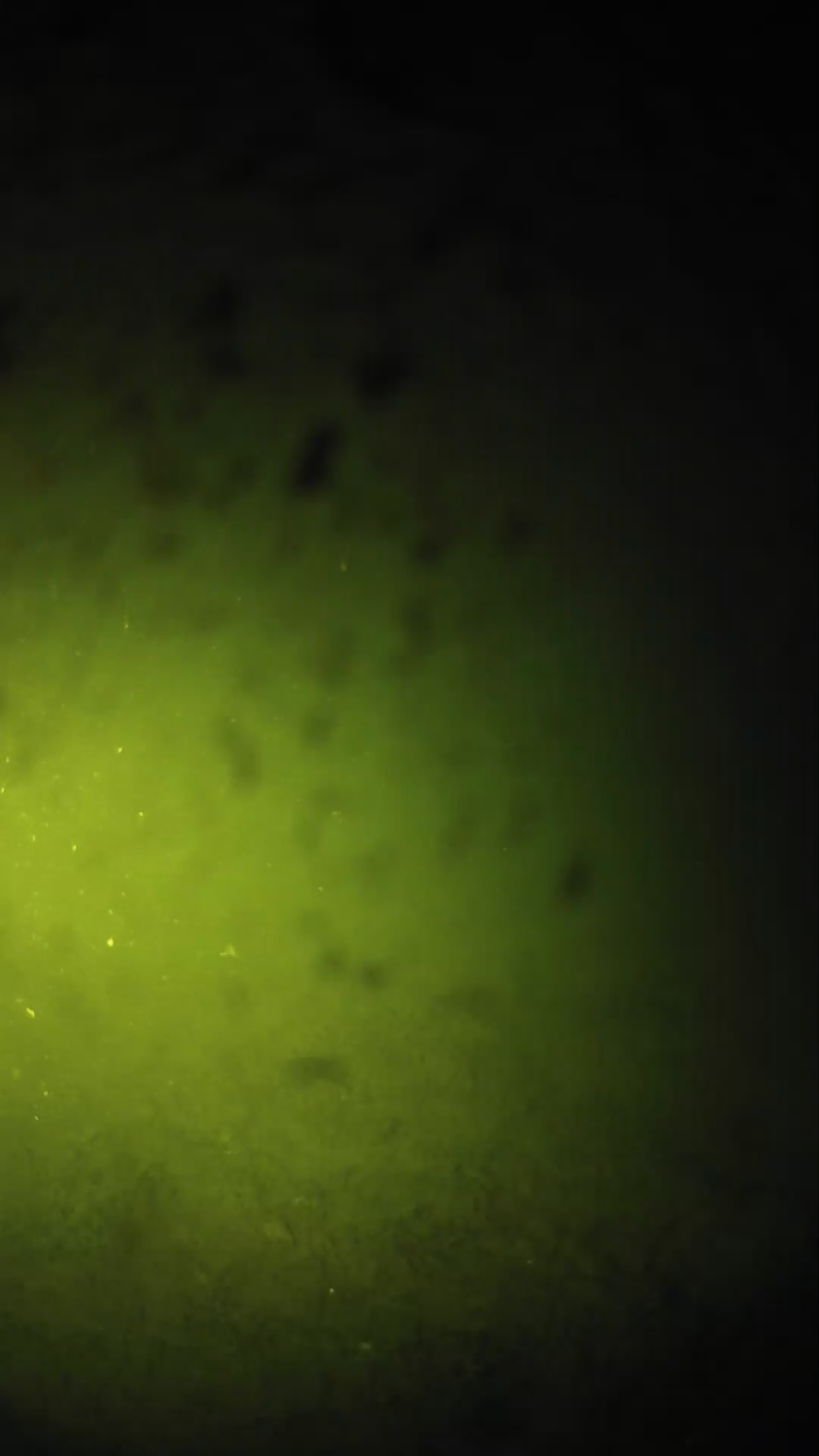 lander_ipcam_20240628213548.png