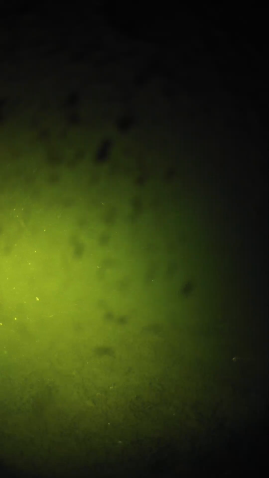 lander_ipcam_20240628213550.png